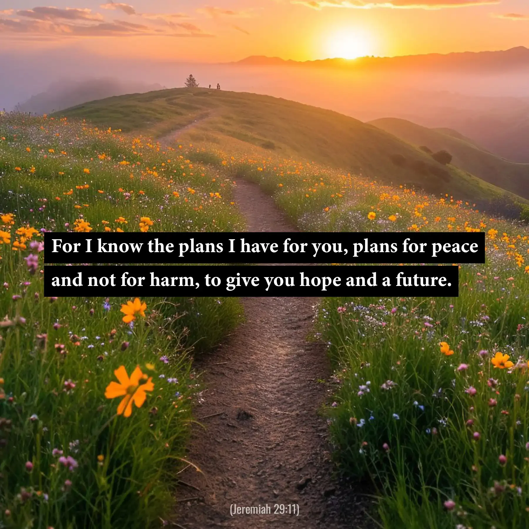 Jeremiah 29:11 Bible verse over a scenic country path about hope, peace and God's plans for the future.