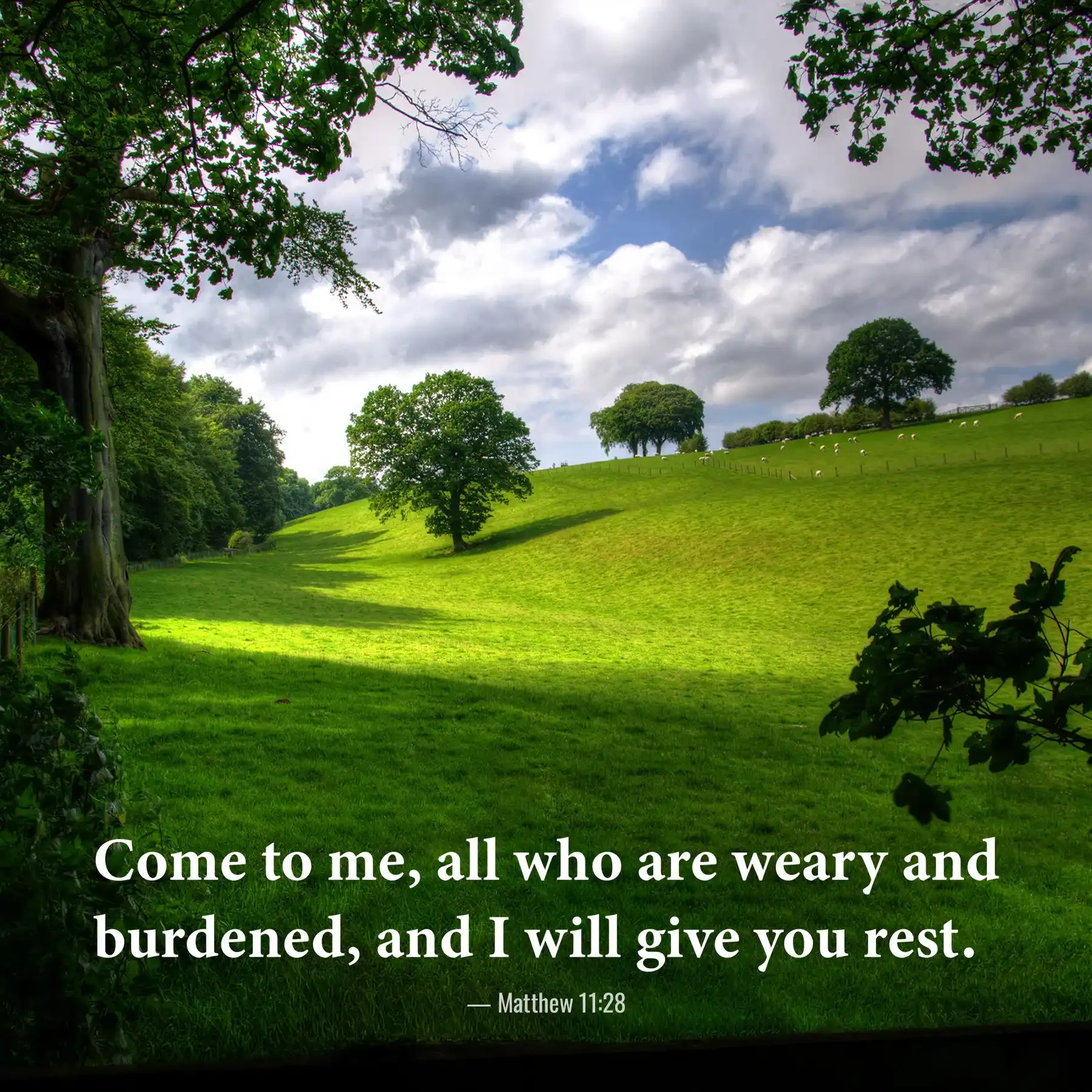 Matthew 11:28 Bible verse with peaceful green meadows inviting the weary to find rest in Christ.