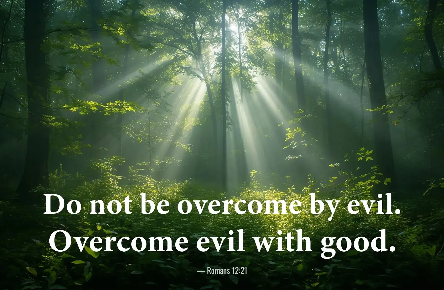Romans 12:21 Bible verse with sunlight streaming through a peaceful forest, reminding believers to overcome evil with good.