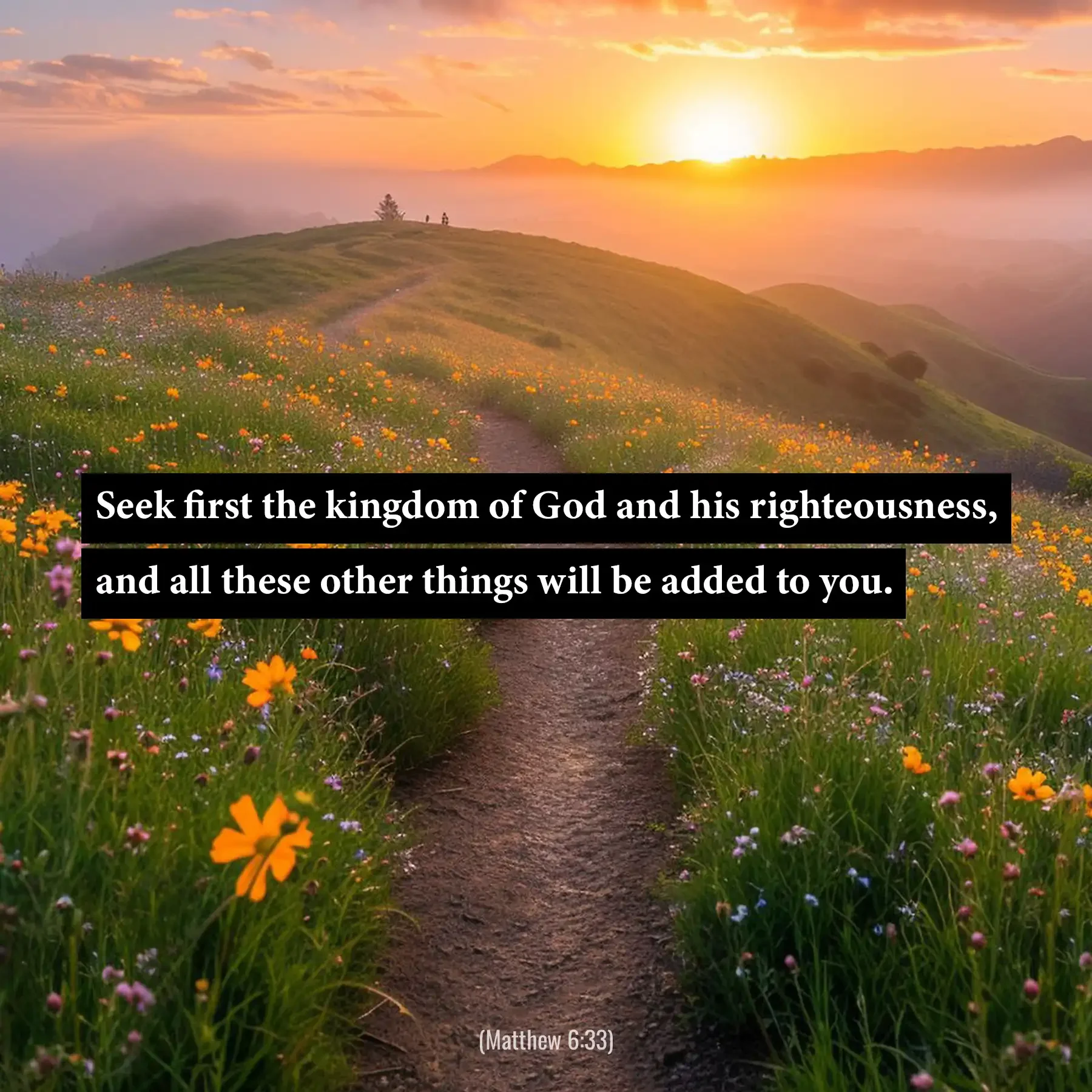 Matthew 6:33 Bible verse over a flower-lined country path encouraging believers to seek God's kingdom first.