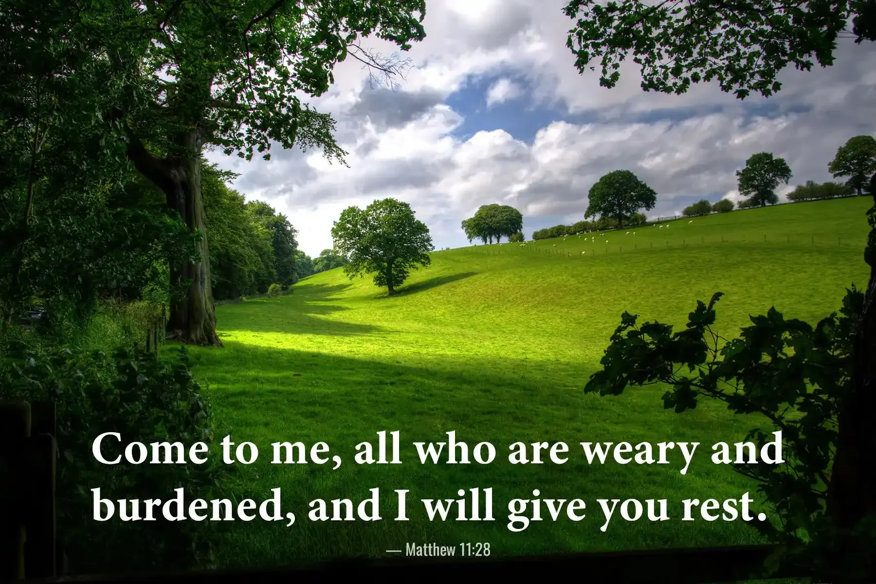 Matthew 11:28 Bible verse over a green countryside inviting the weary and burdened to find rest in Christ.