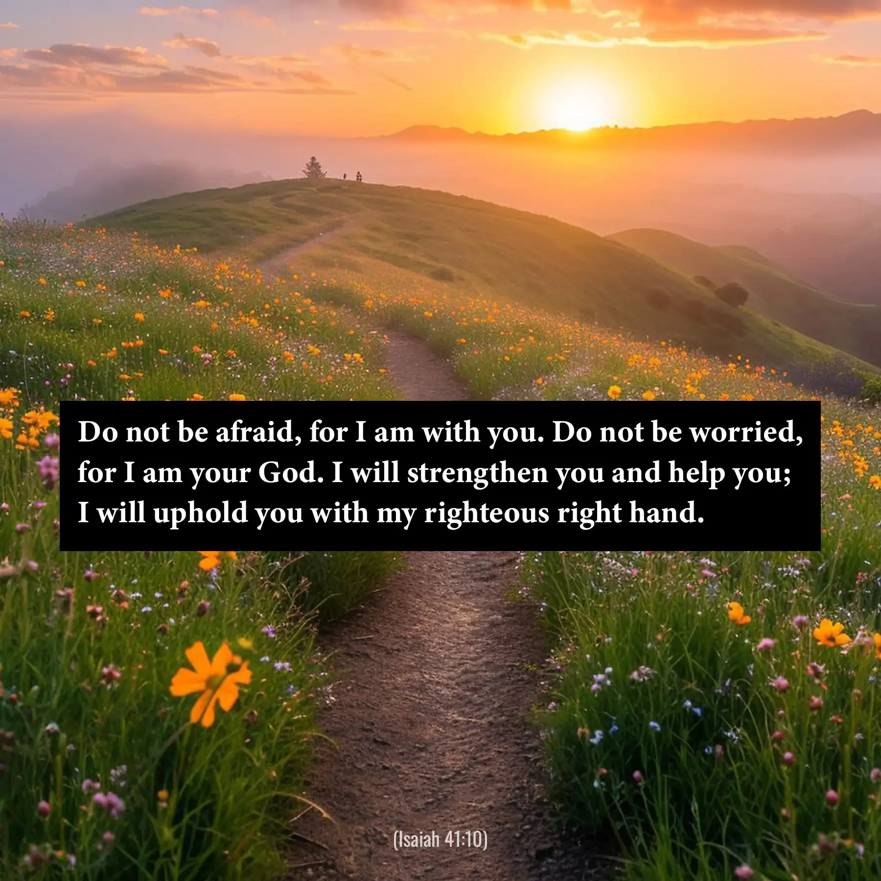 Isaiah 41:10 Bible verse over a flower-lined country path at sunrise encouraging believers not to fear because God is with them.