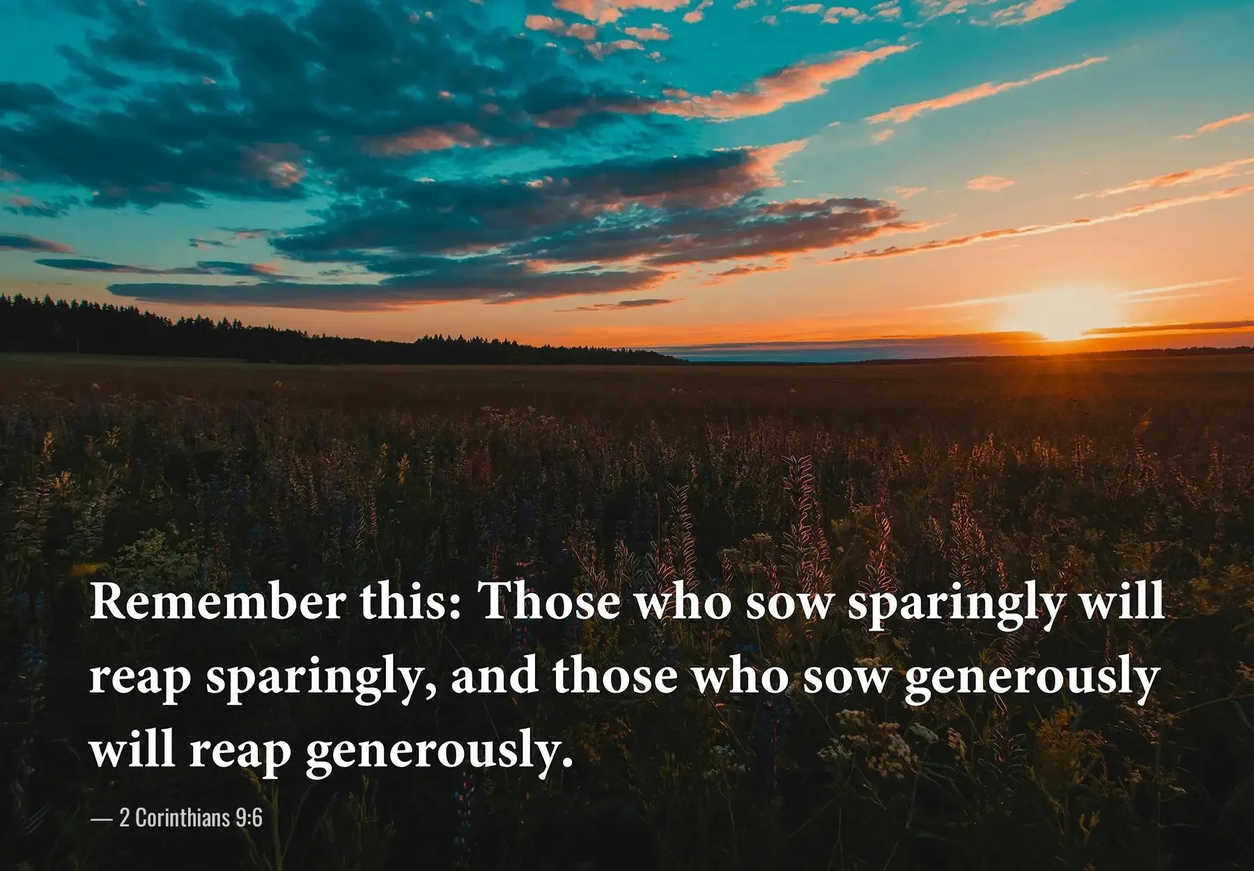 2 Corinthians 9:6 Bible verse over a peaceful sunset field about sowing and reaping generously.