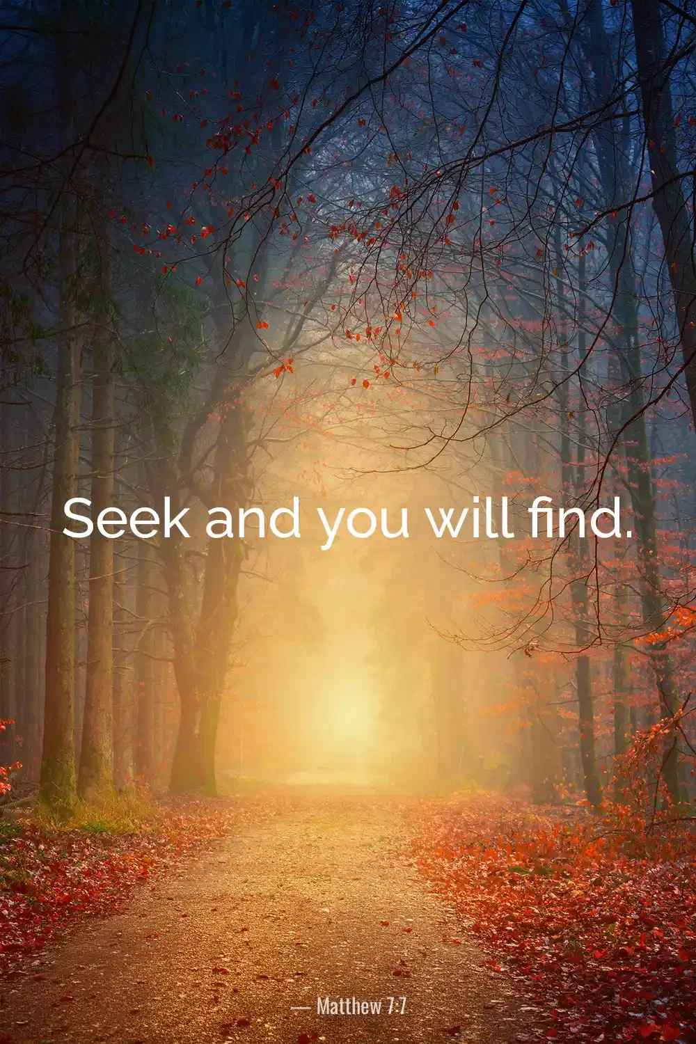 Matthew 7:7 Bible verse in an autumn forest with a bright light at the end of the woodland path.