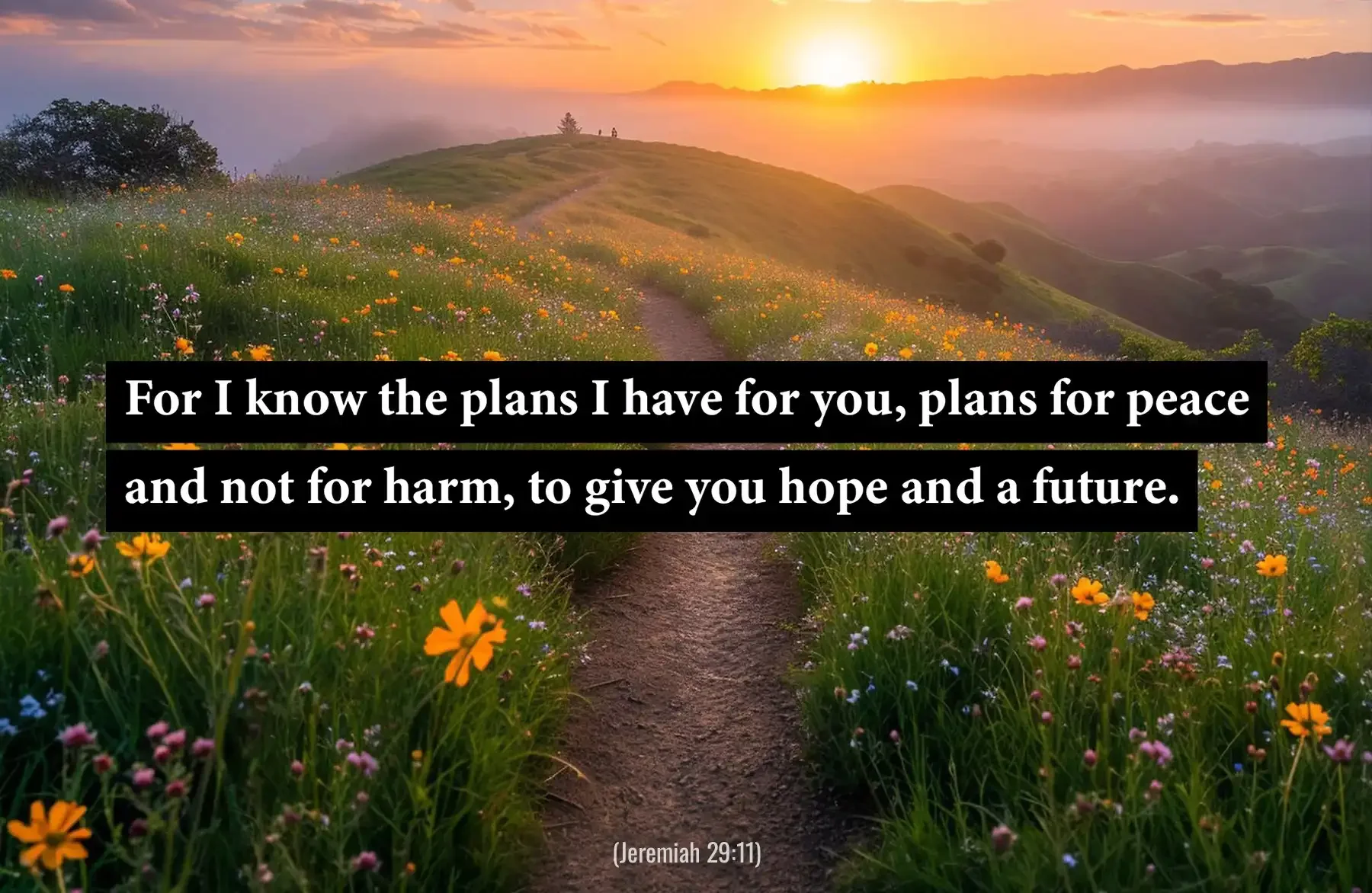 Jeremiah 29:11 Bible verse with a sunrise path through wildflowers about hope and a future.