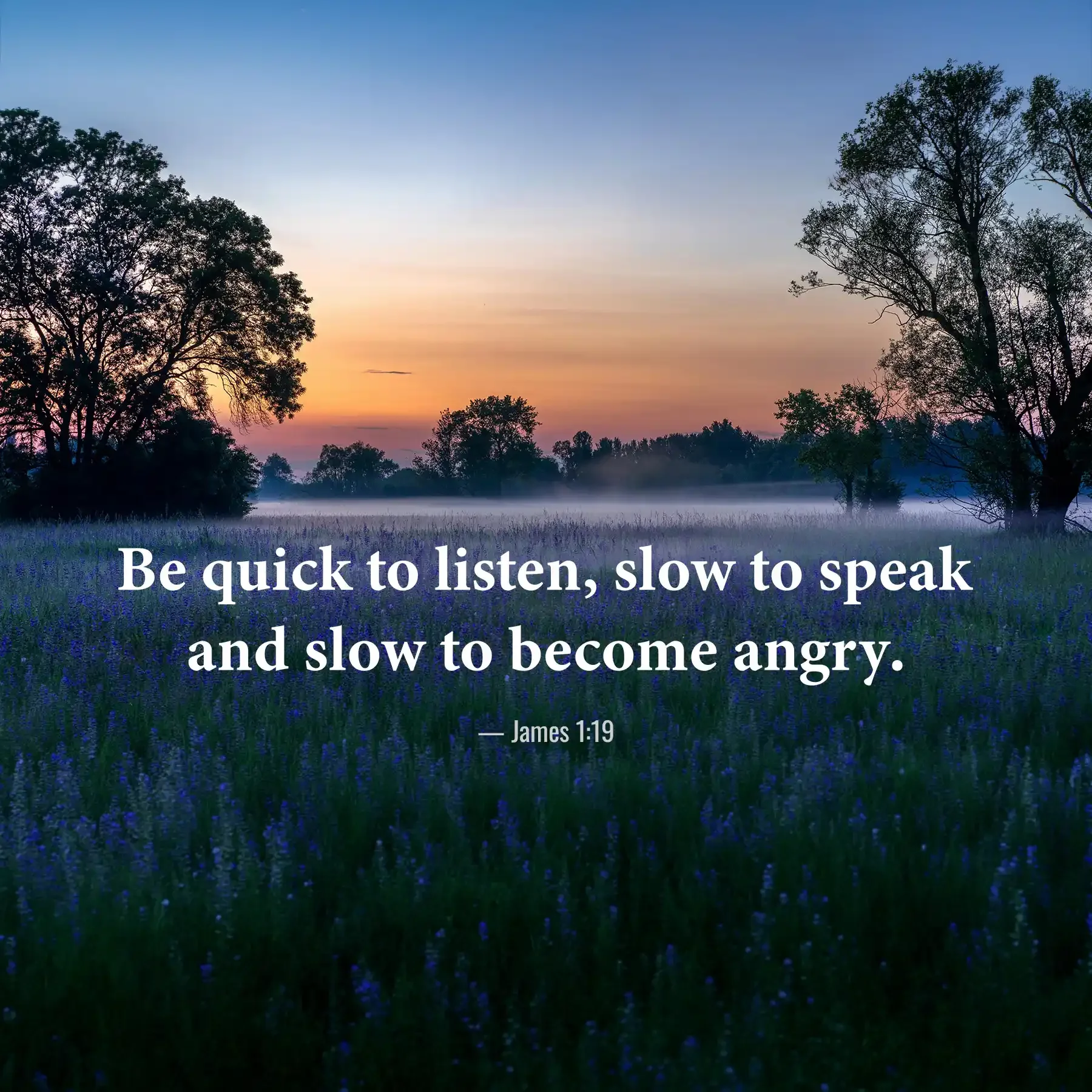 James 1:19 Bible verse over a peaceful lavender field encouraging believers to be quick to listen and slow to speak.