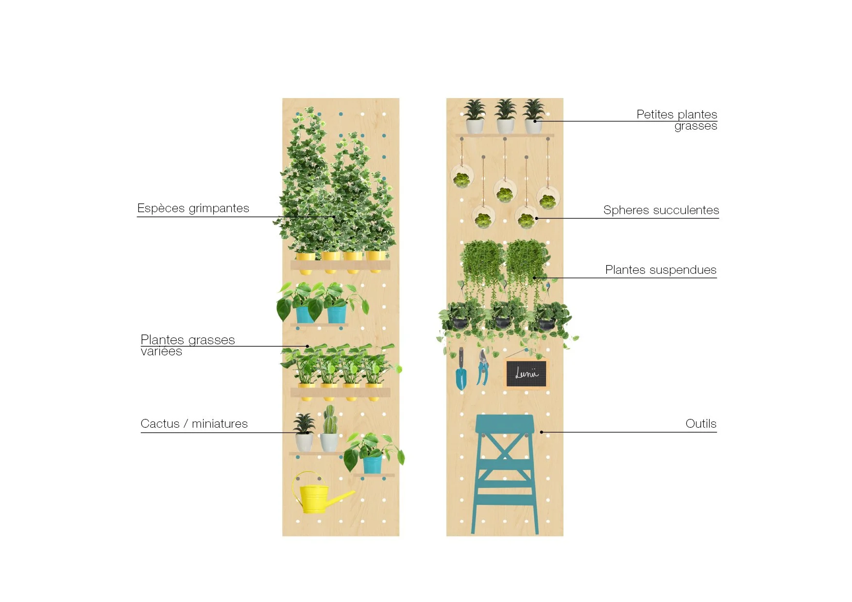 Mur pegboard végétalisé modulable conçu sur mesure pour l'aménagement de bureaux et espaces professionnels