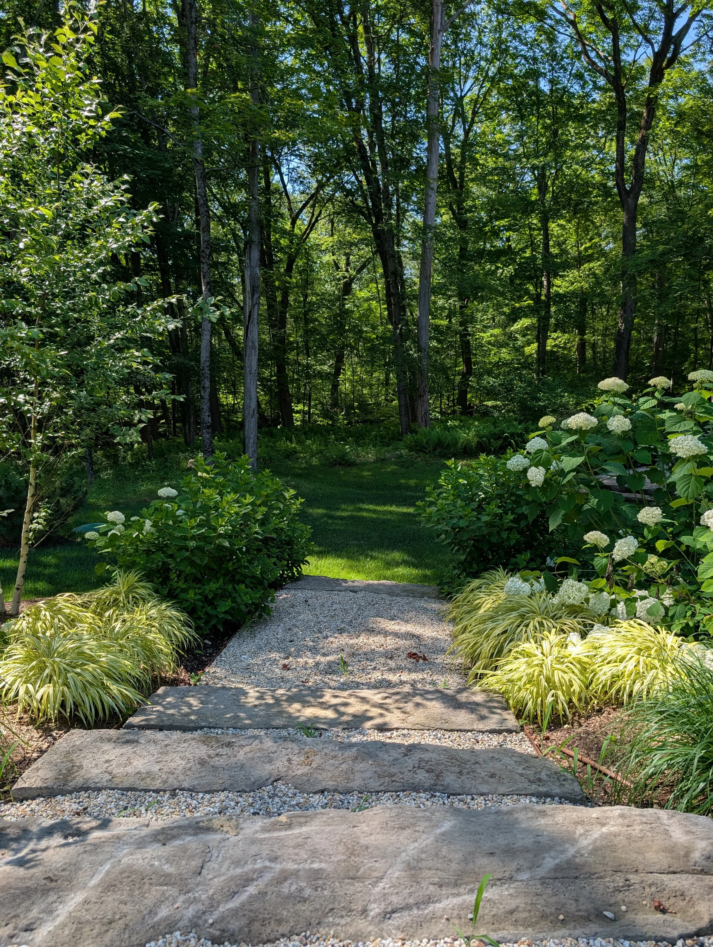 A quiet garden path bordered by lush green plants and white flowers leading into a wooded area with tall trees and dense foliage.