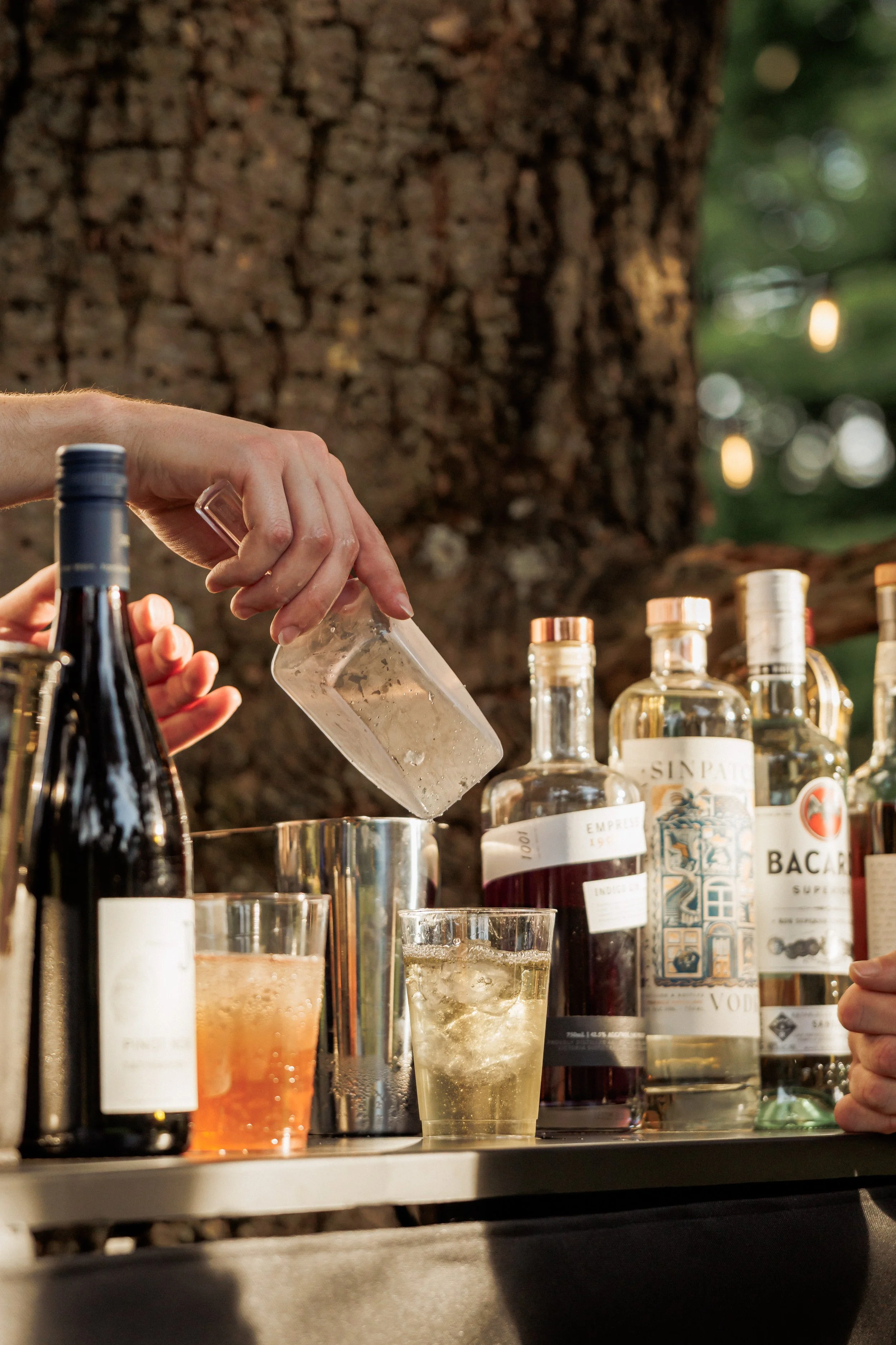 A person pours a clear liquid into a glass with ice at an outdoor bar with bottles of liquor on display, including Bacardi, Empress, and others, against a background of a large tree trunk and bokeh lights.