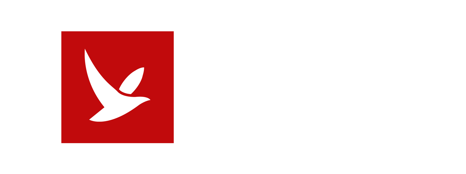 The Nest Studios 