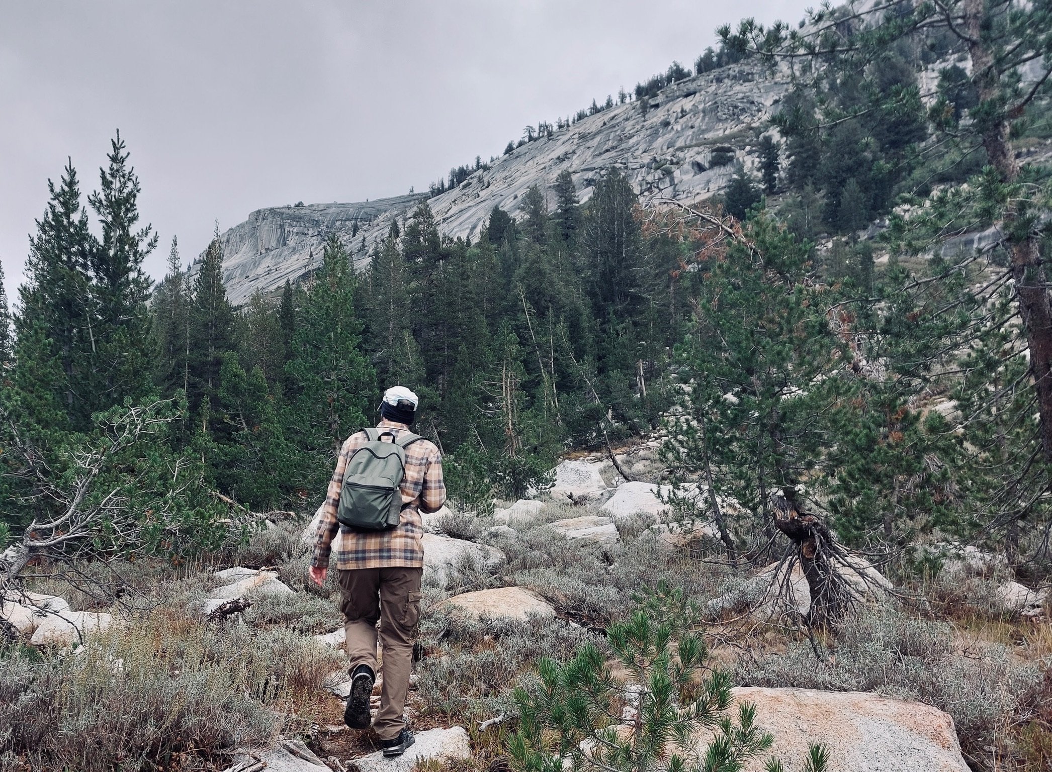 Eine Person wandert in der Natur durch einen bewaldeten Gebirgsraum mit Felsen und Tannenbäumen.