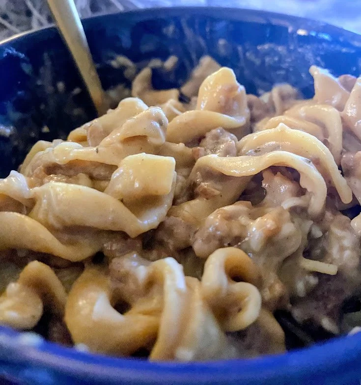 4/5 Vegetarian Beef and Noodles