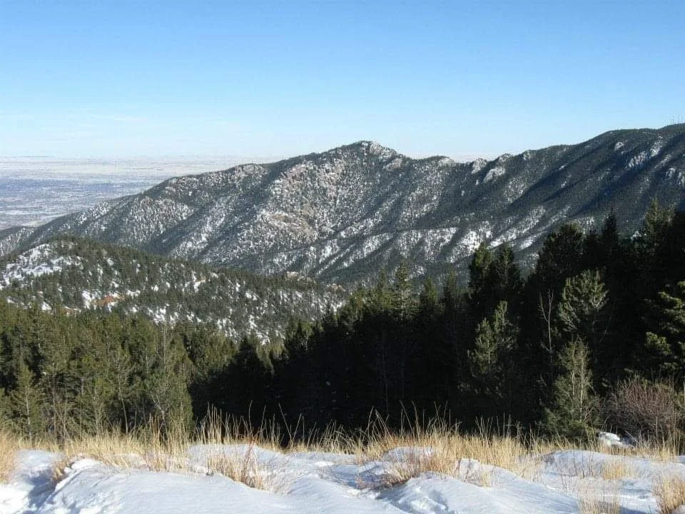Snow-covered mountains with evergreen trees in the foreground under a clear blue sky.
