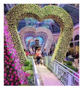 People walking through a series of heart-shaped floral arches decorated with pink and yellow flowers.