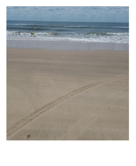Empty sandy beach with tire tracks, ocean waves, and a cloudy sky.