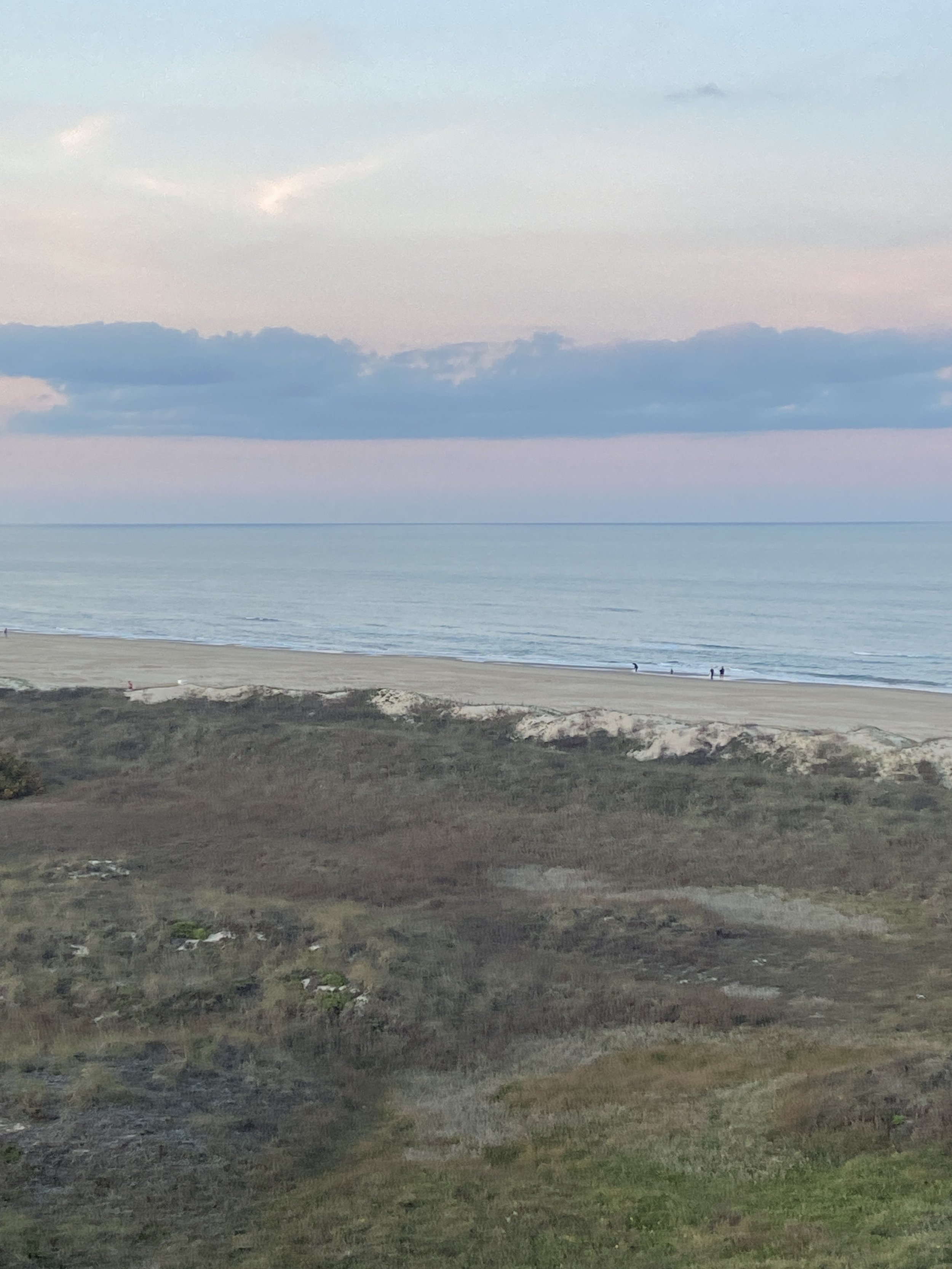 A serene beach scene with a sandy shoreline, grassy dunes, calm ocean waves, and a few small groups of people walking along the beach during the daytime.