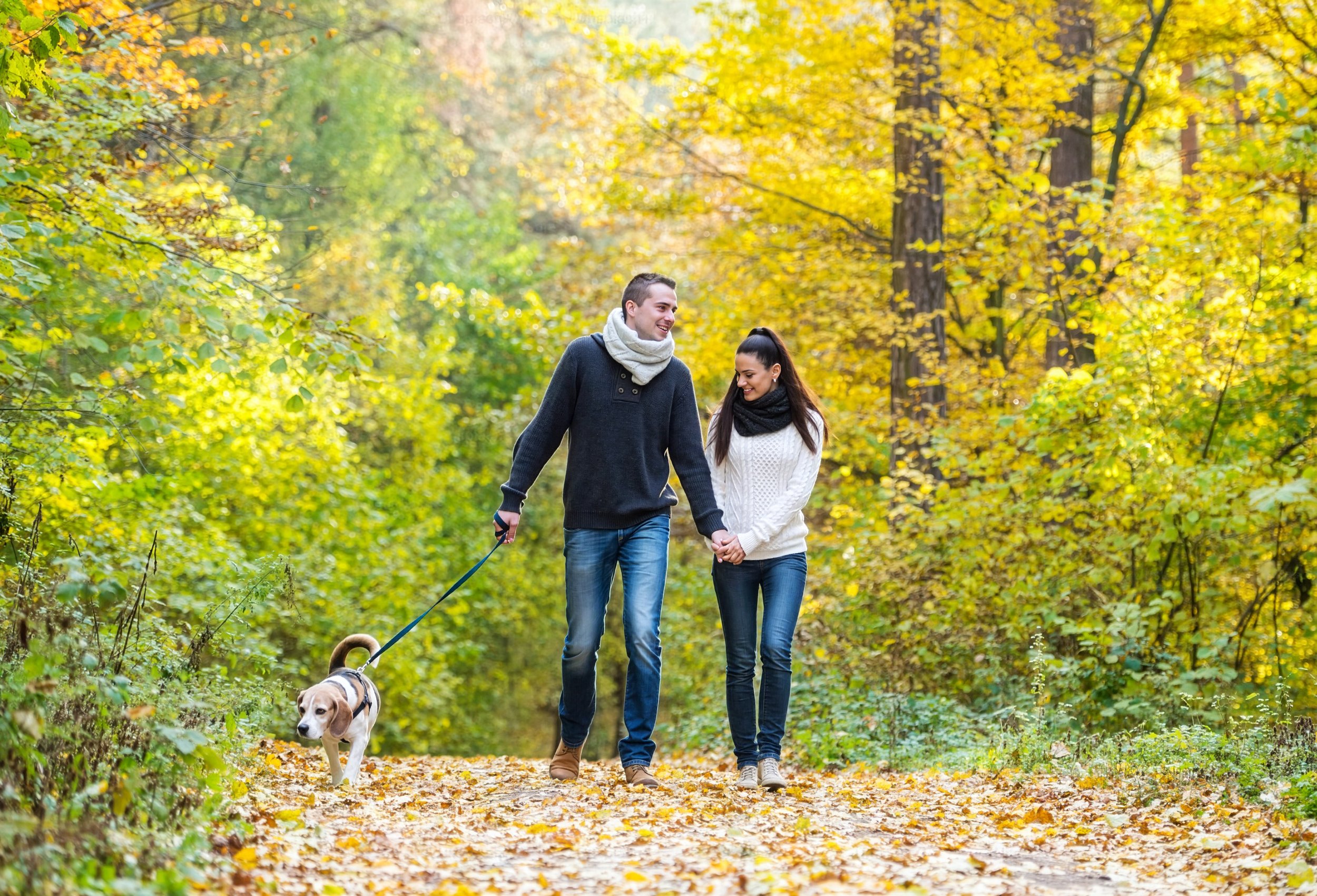 Montreal couples photography.jpg