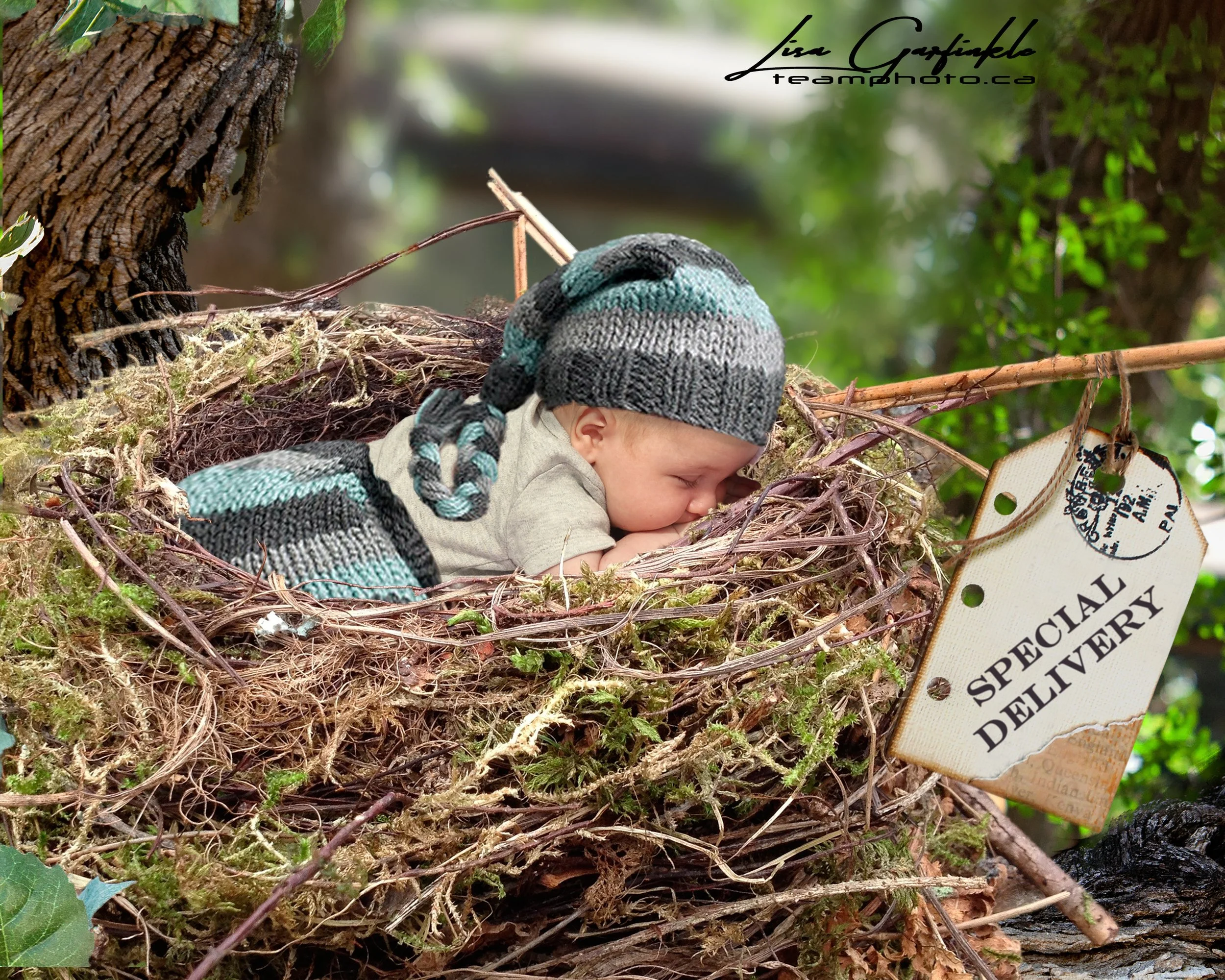Montreal portrait and baby photography.jpg