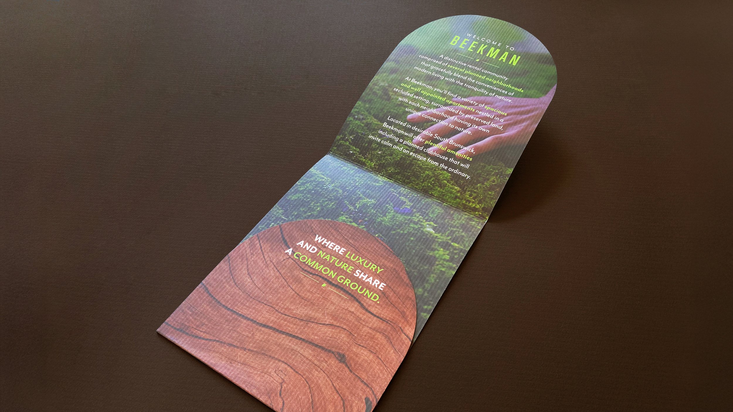 4_Beekman_folder_slide 2.jpg