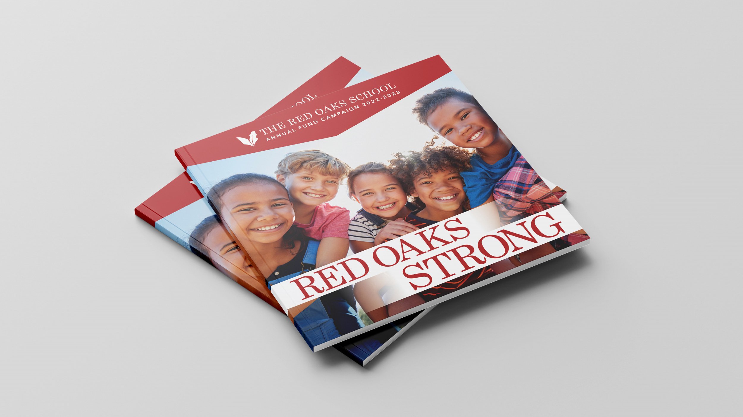 ANNUAL FUND CAMPAIGN BROCHURE