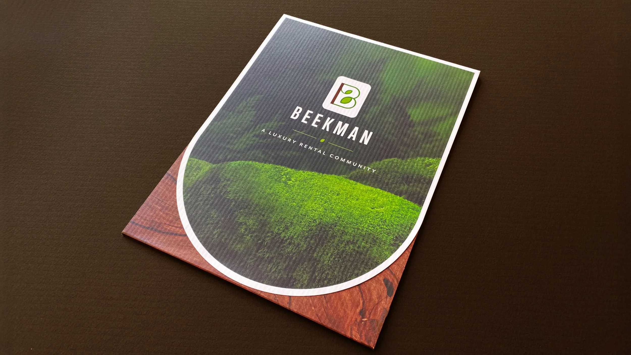 3_Beekman_folder_slide 1.jpg