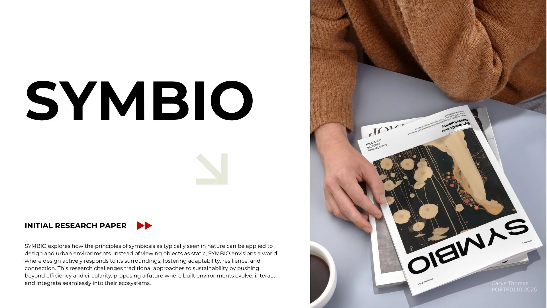 Portfolio2025.zip - 3.jpeg