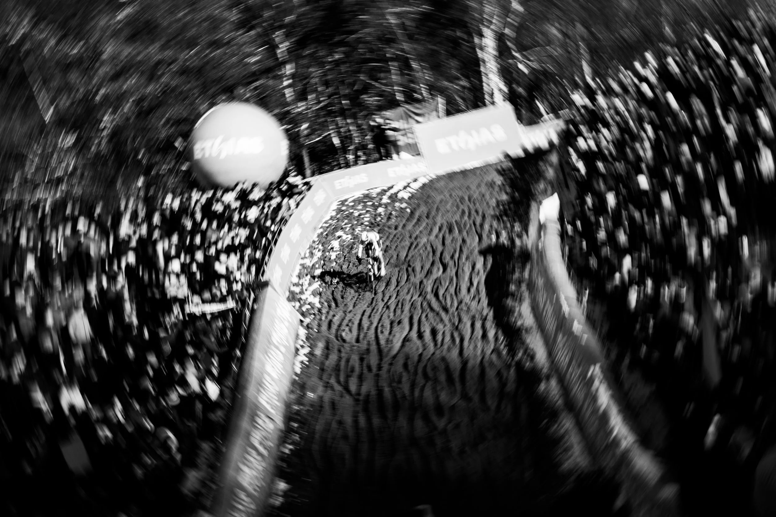 Mathieu Van De Poel, Zonhoven