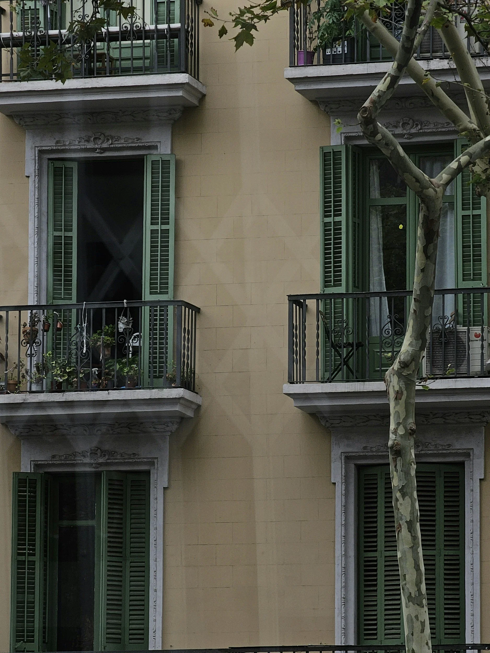 Four windows with green shutters and small balconies on a beige building, with a tree in front.