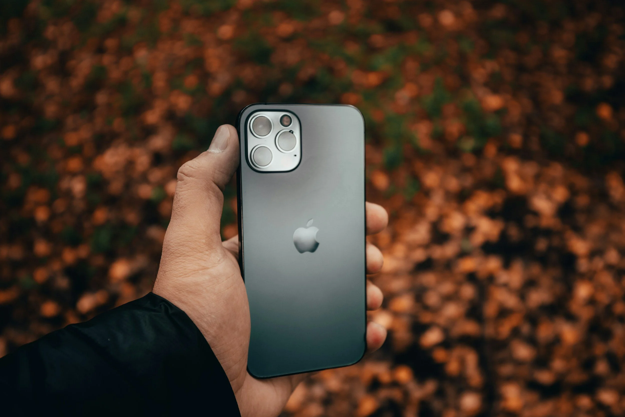 Hand holding a silver iPhone with triple camera, against a background of autumn leaves.
