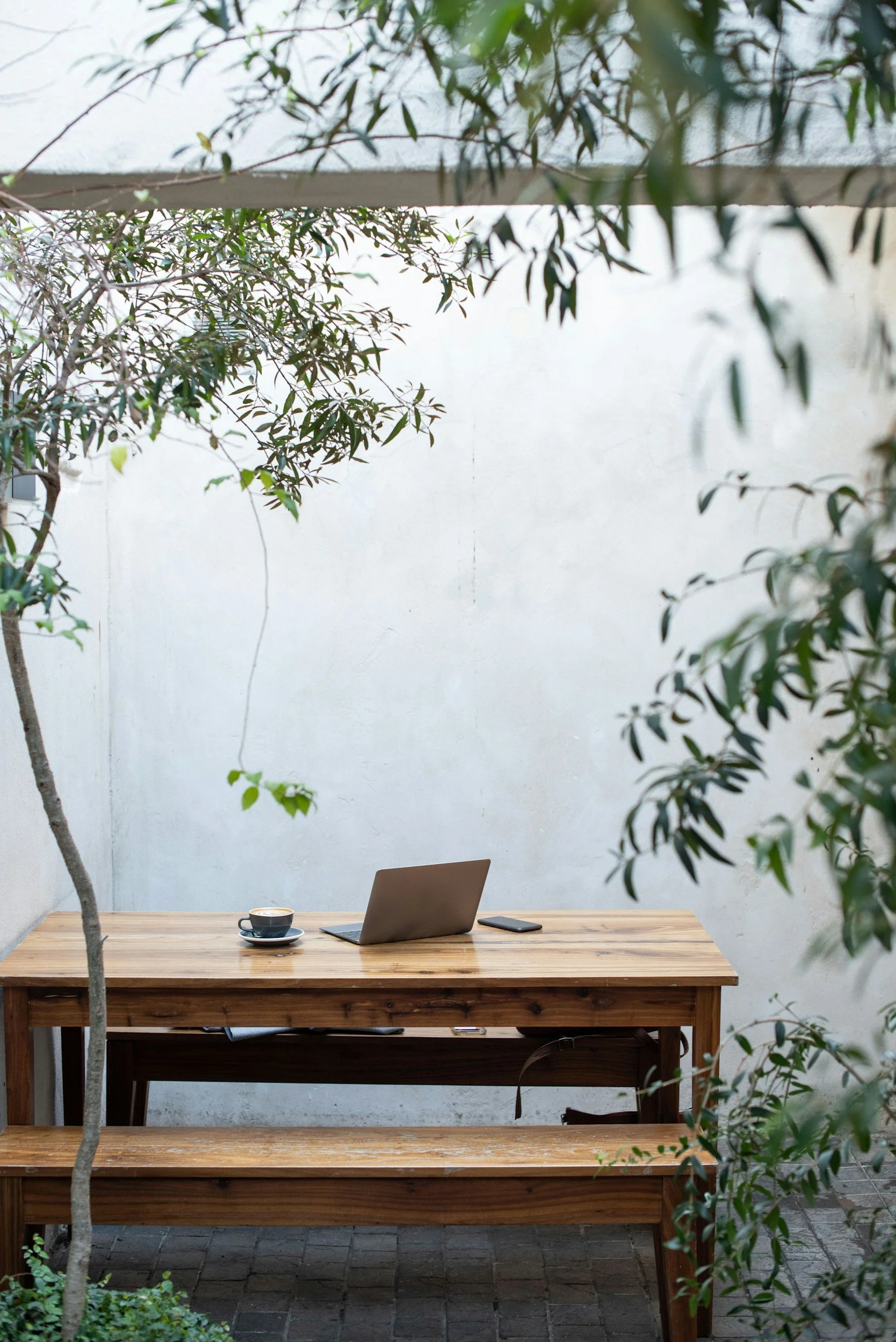 A wooden table in an outdoor space with green plants and trees around, a laptop, a coffee cup on a saucer, and a smartphone on the table, against a white wall.