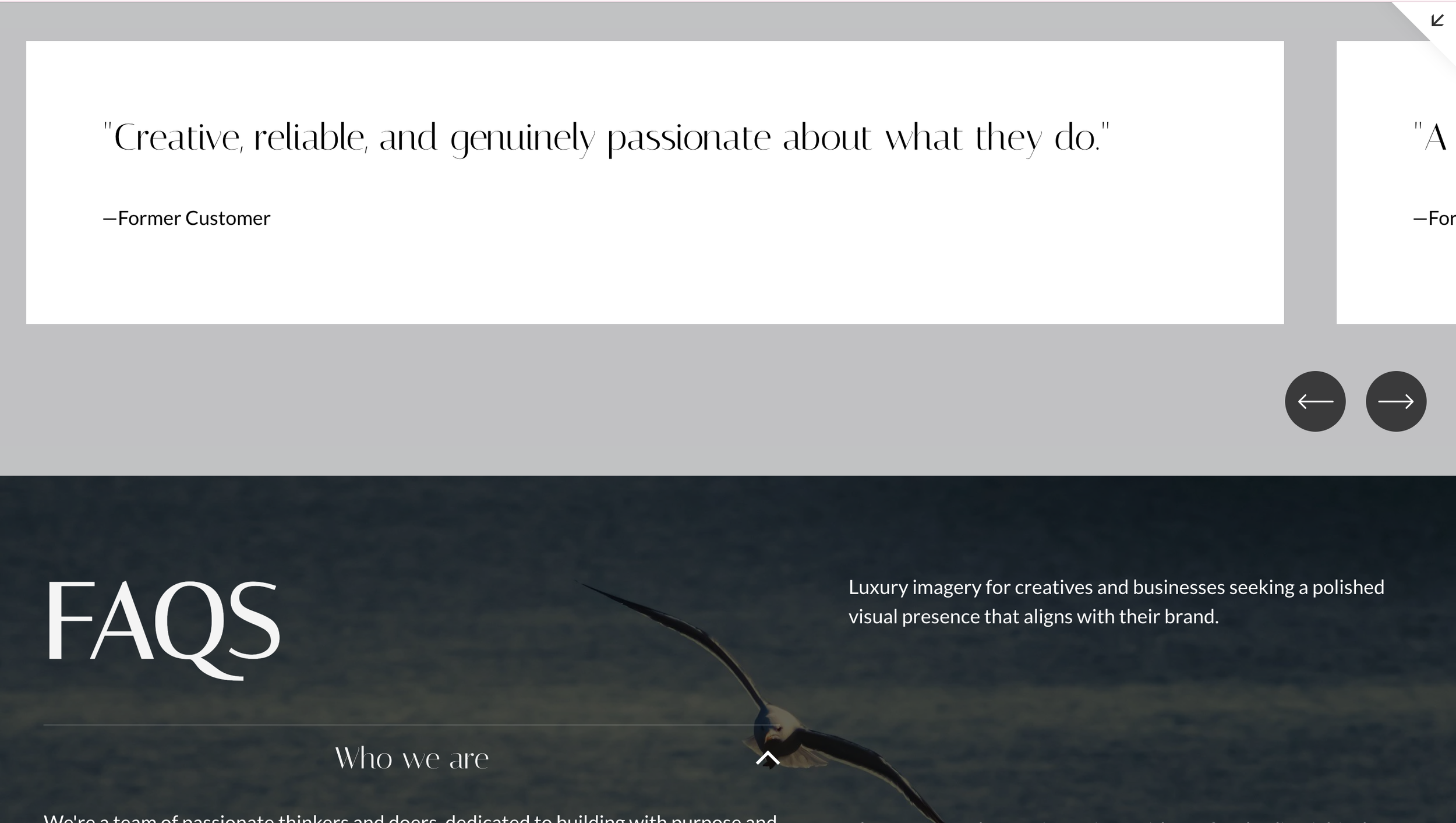A website FAQ page with a large image of a bird flying over water and text overlays. The top section contains a customer testimonial quote in quotation marks.