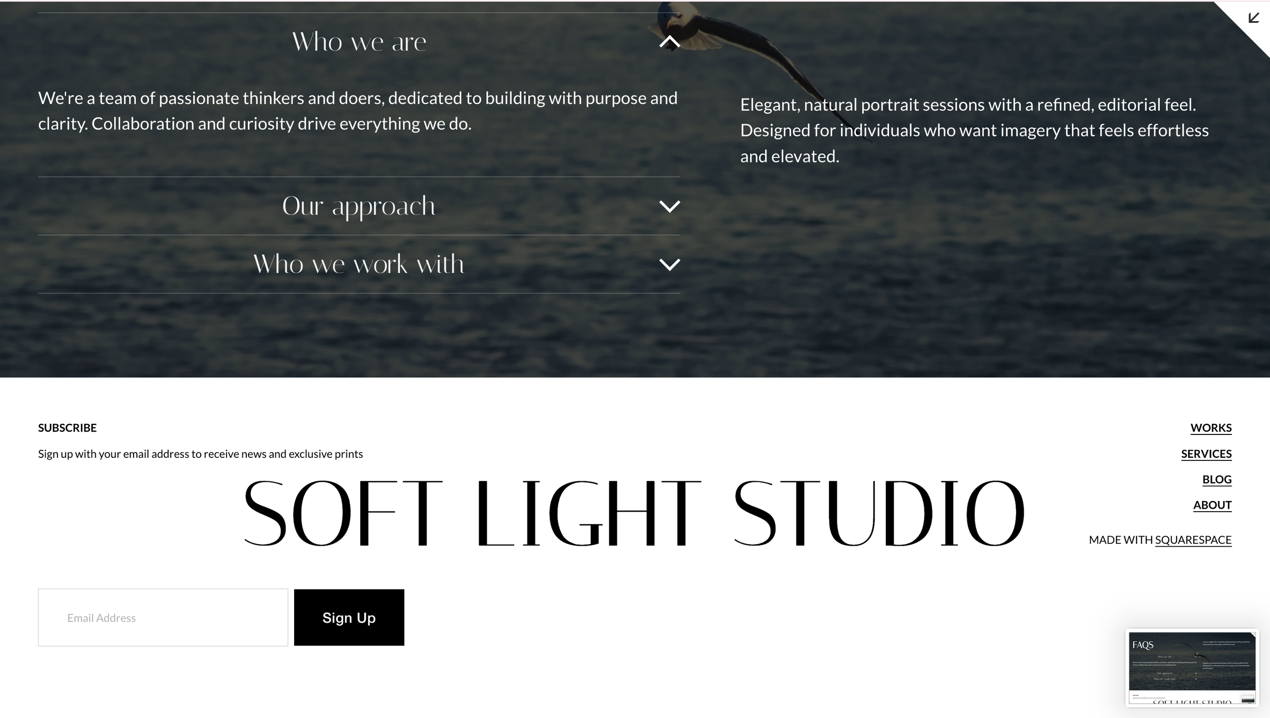 A website homepage for Soft Light Studio featuring a background image of the ocean with a bird flying over the water, and text sections describing their identity, approach, and what they do, along with a newsletter sign-up form and navigation links.