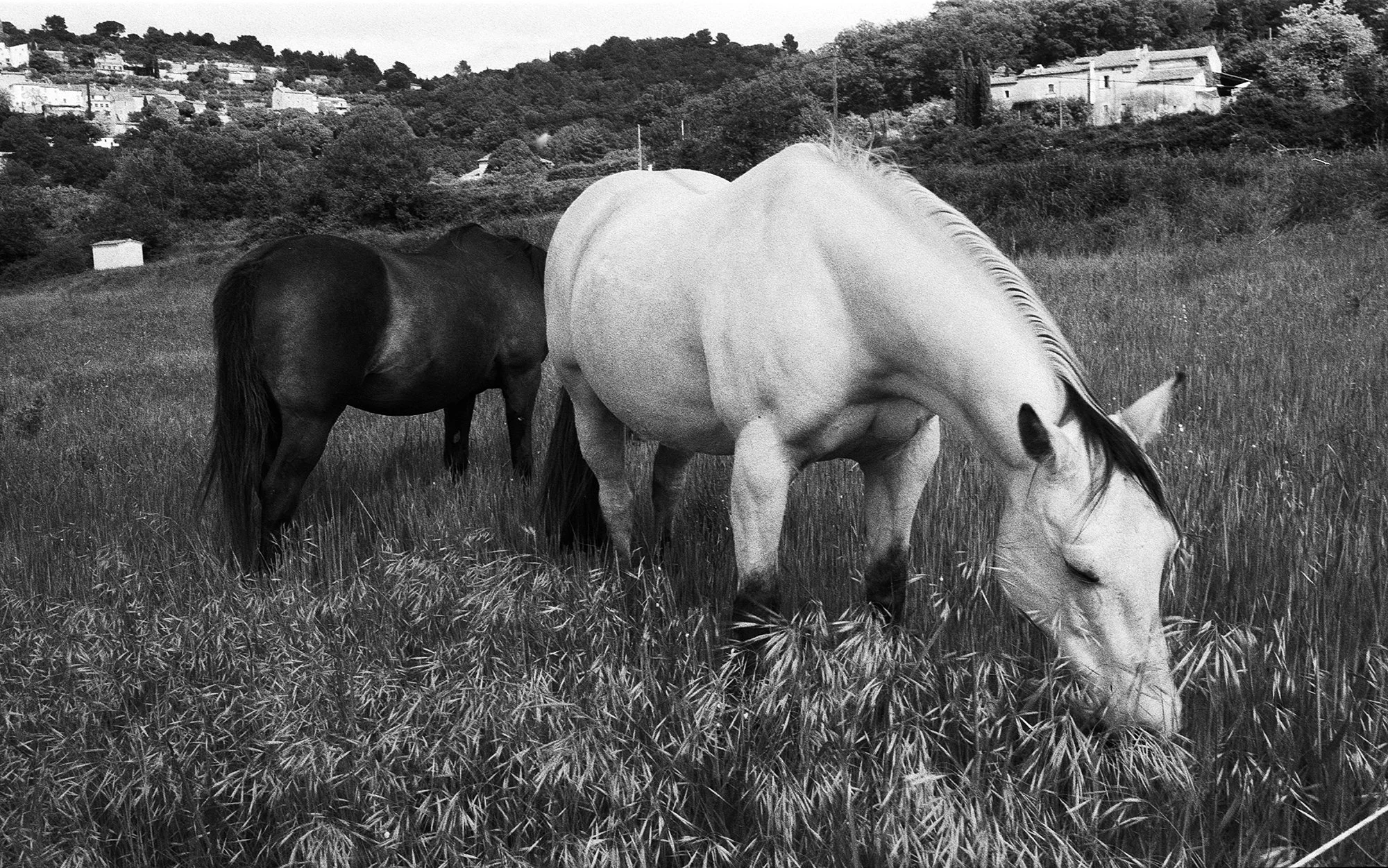 Untitled (11) copy.jpg