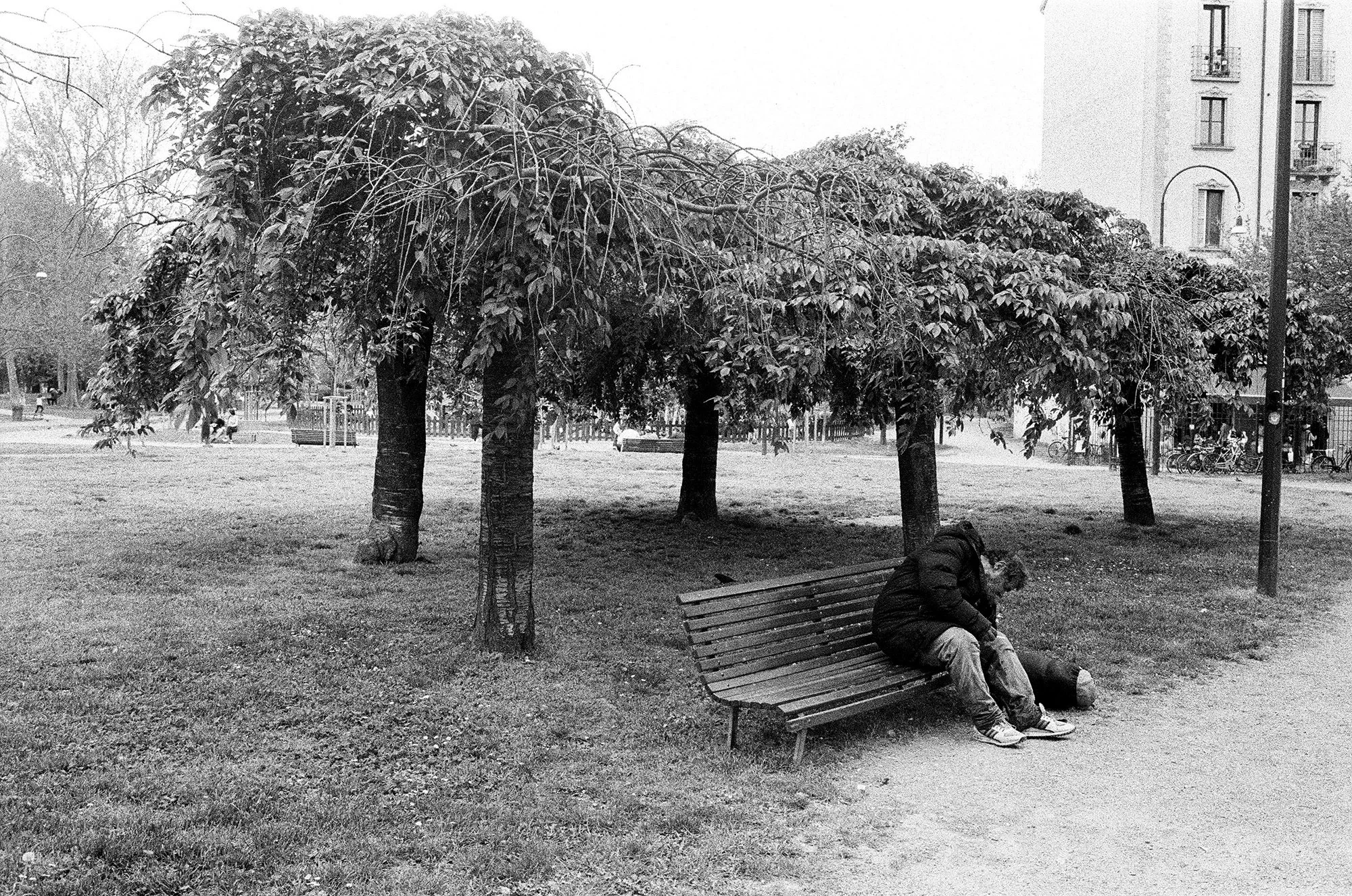 000000550013-Edit copy 2.jpg