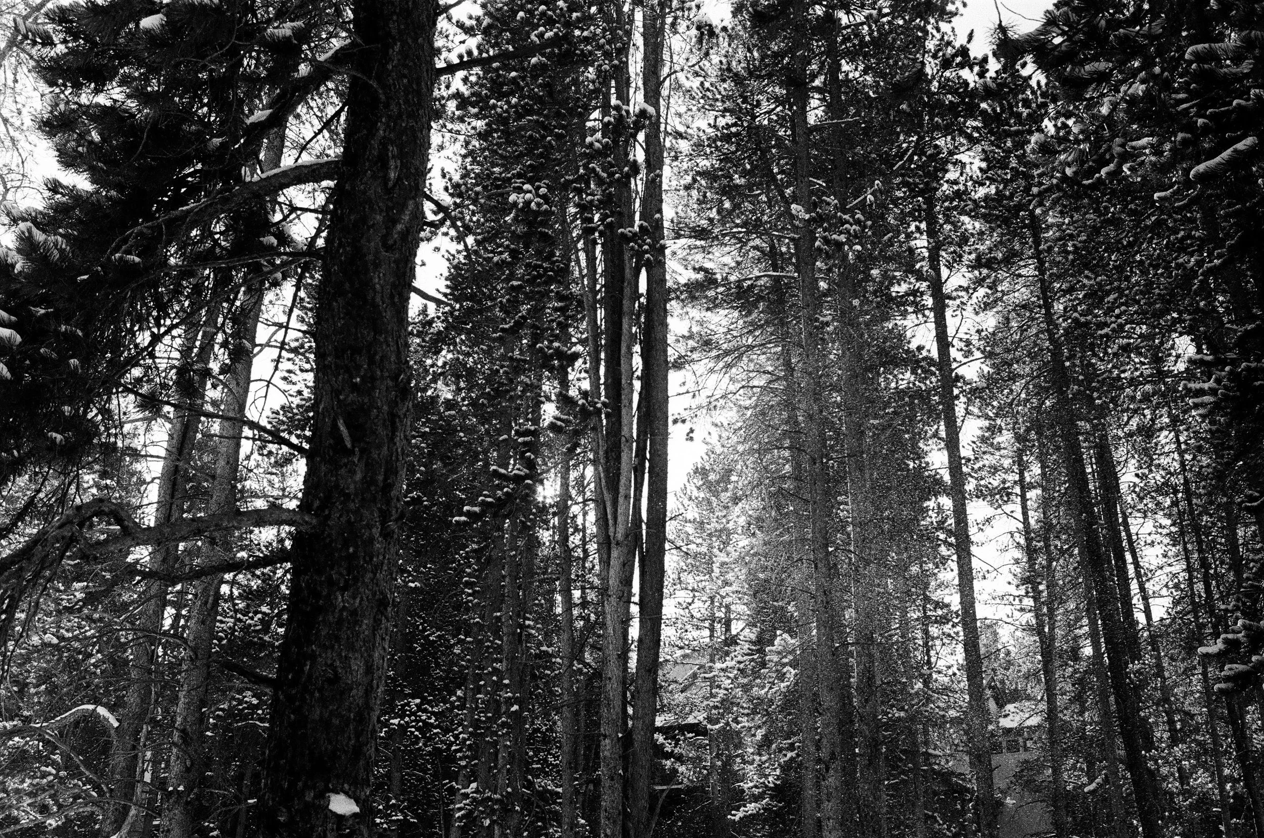 000007600006 copy.jpg