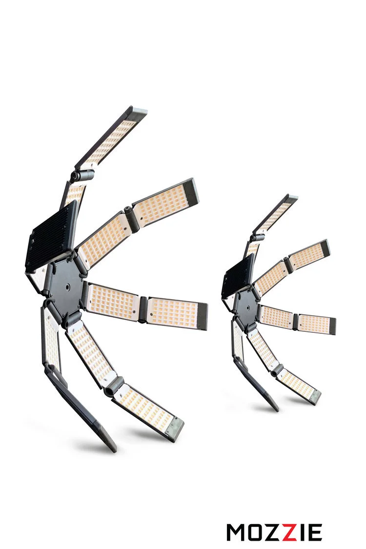 Hudson Spider Mozzie Bi-Color Double Deluxe KIT