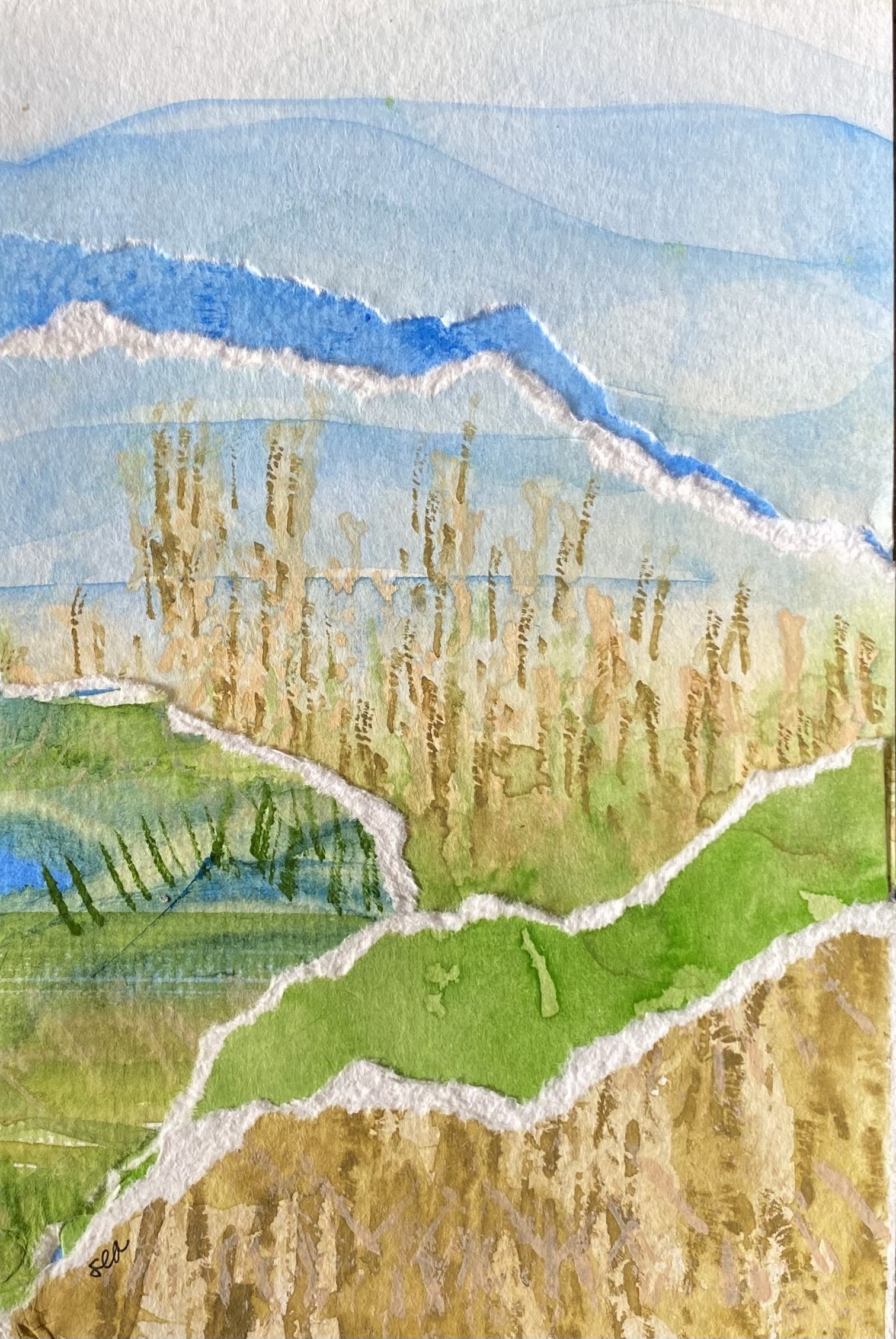 Shenandoah 2025, 4"x6"