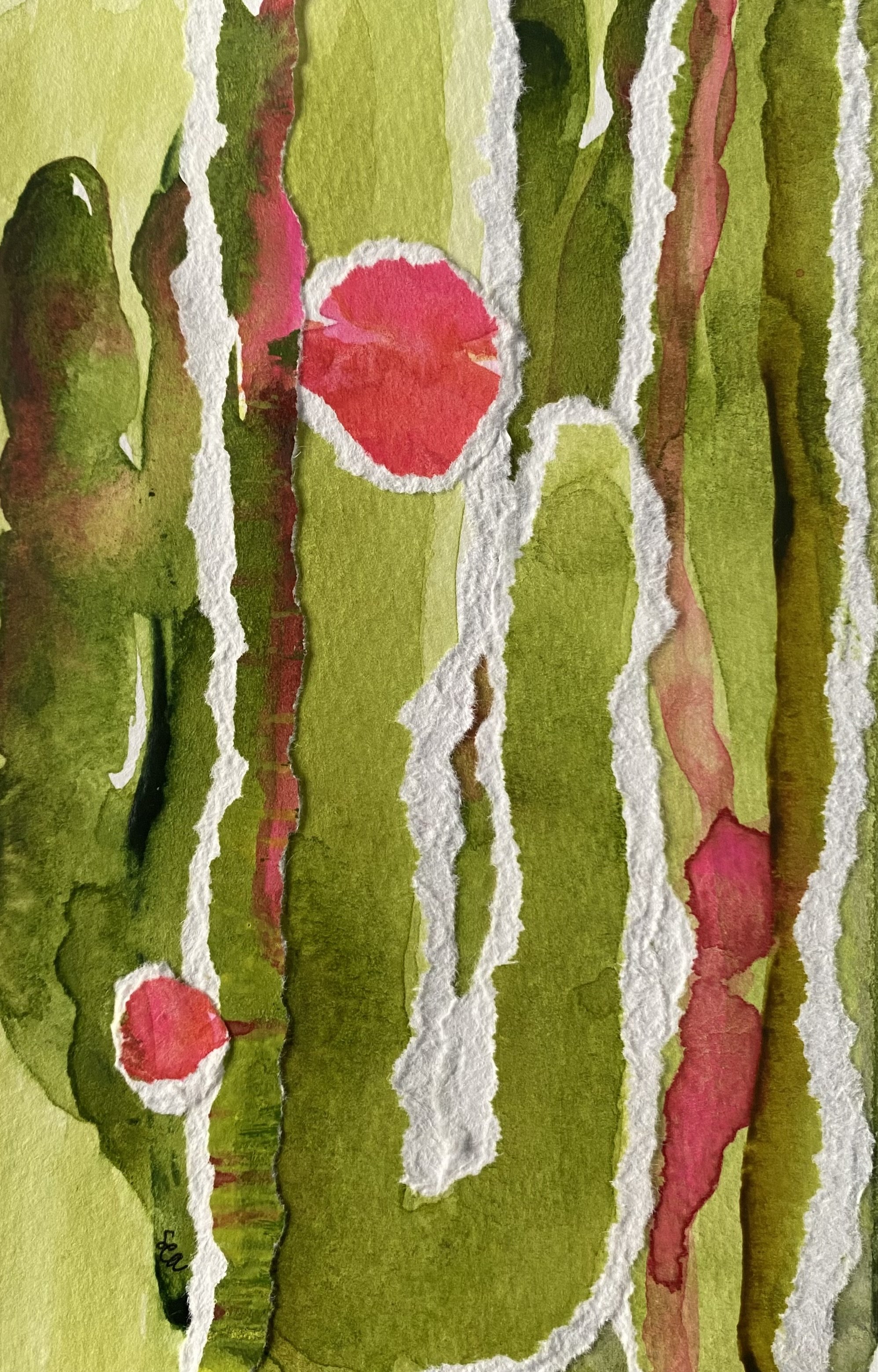 Cactus Rose No. 3 2025, 4"x6"   Available $100