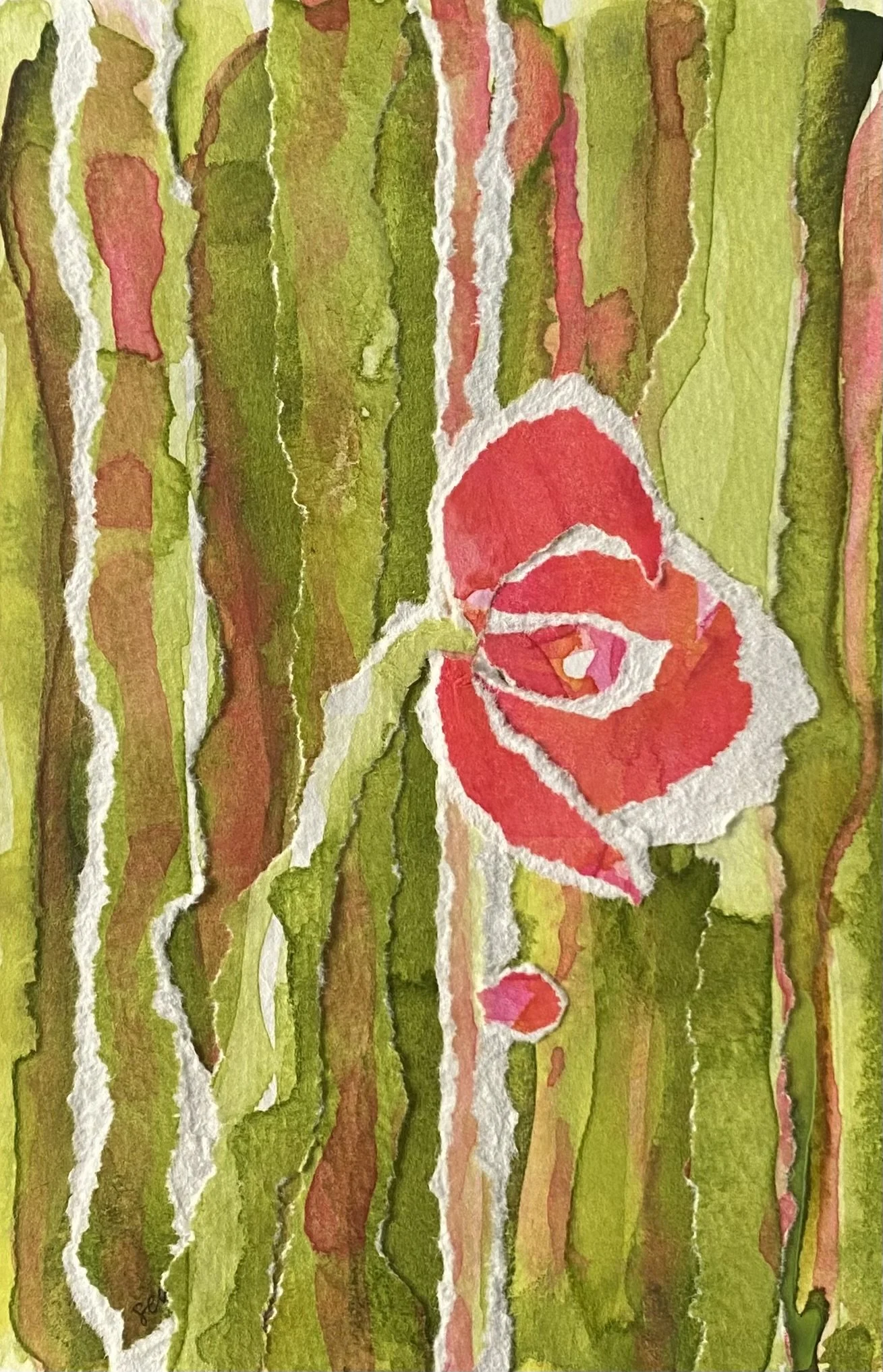 Cactus Rose No. 4 2025, 4"x6"