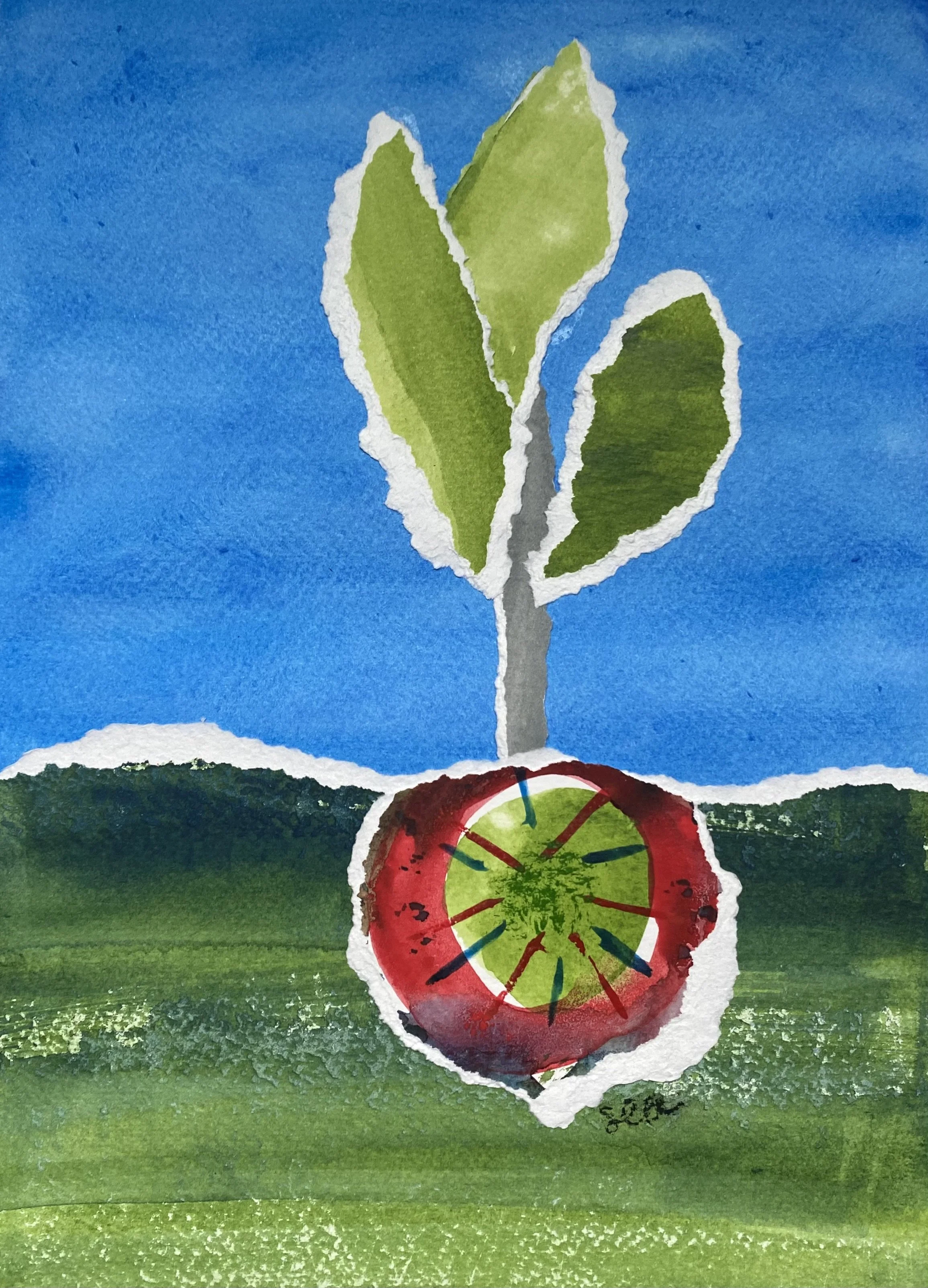 Beetroot 2026, 9"x12"   Available $390