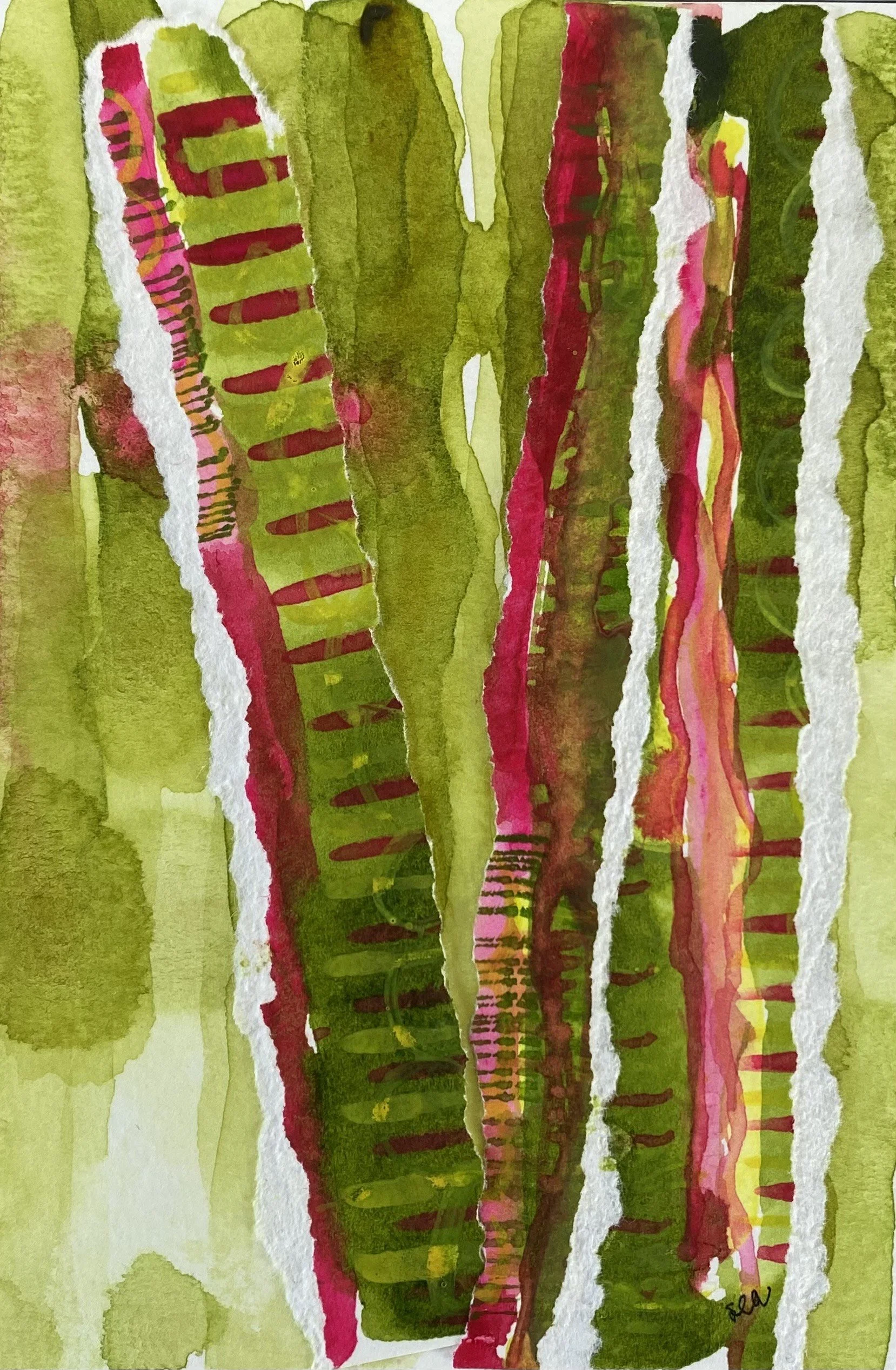 The Organ Pipes 2025