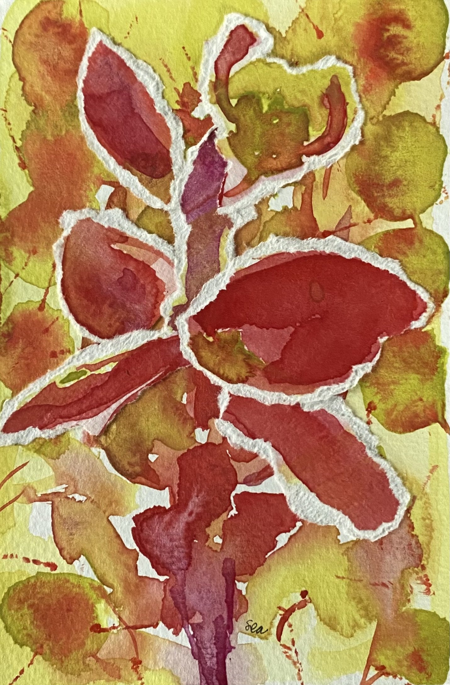 Crimson King No. 4 2025, 4"x6"