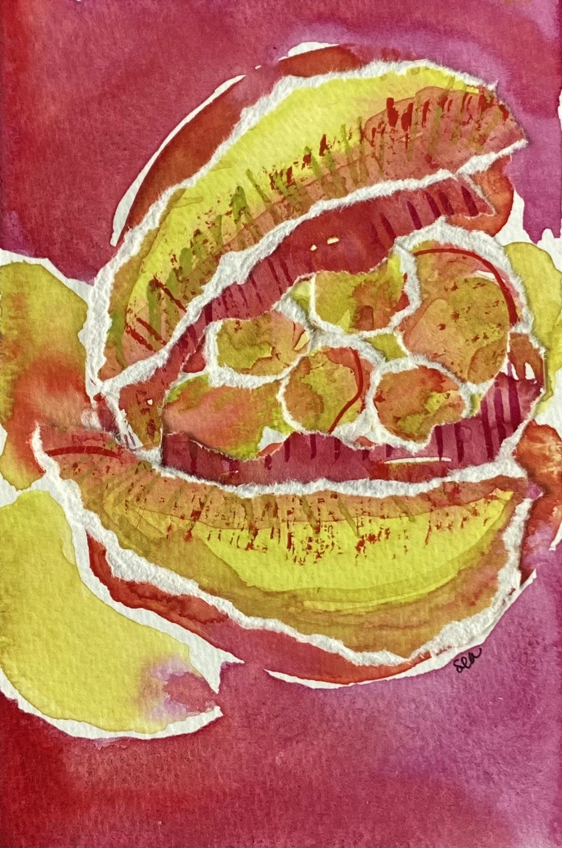 Crimson King, Springtime 2025