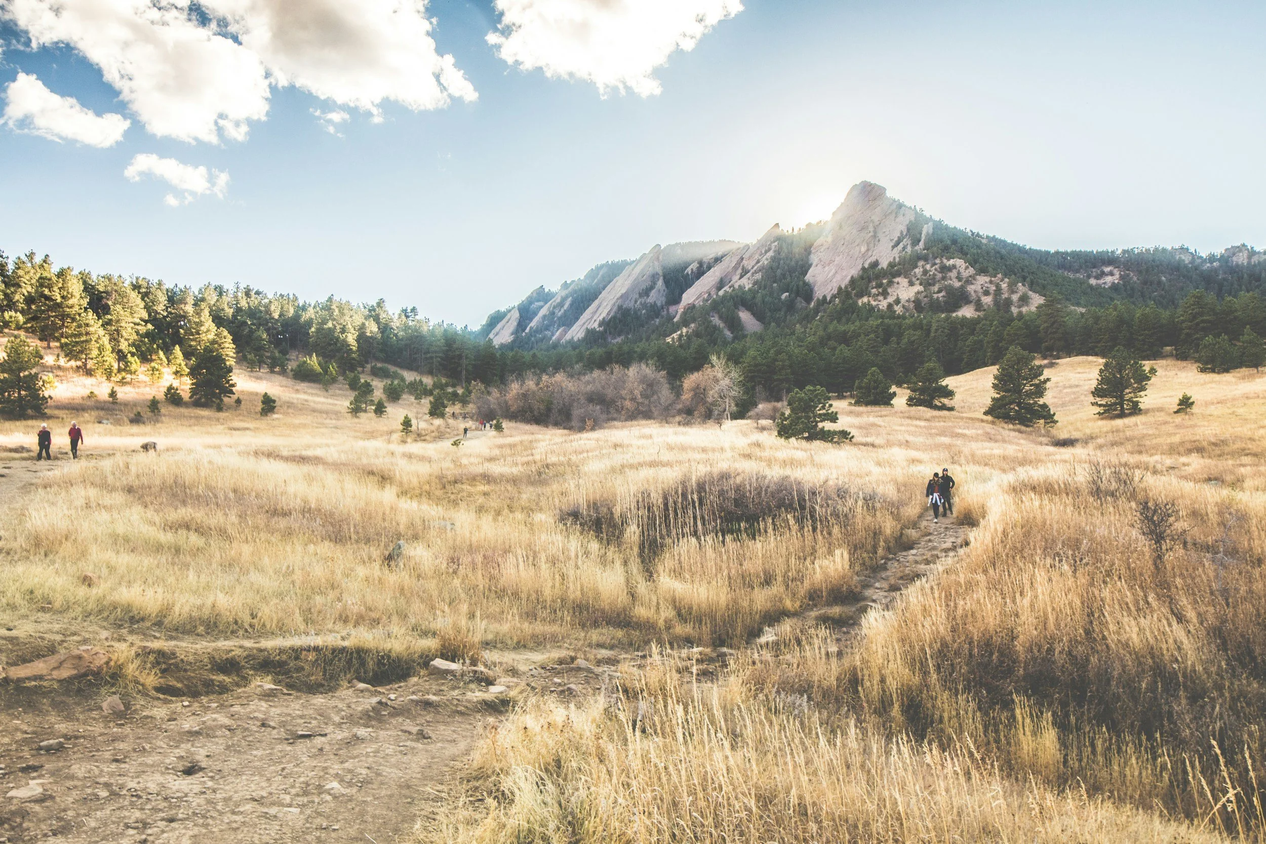 Scenic landscape of a mountain range with rocky peaks, surrounded by evergreen trees and a grassy plain with hikers walking on a dirt trail in a sunny, partly cloudy sky.