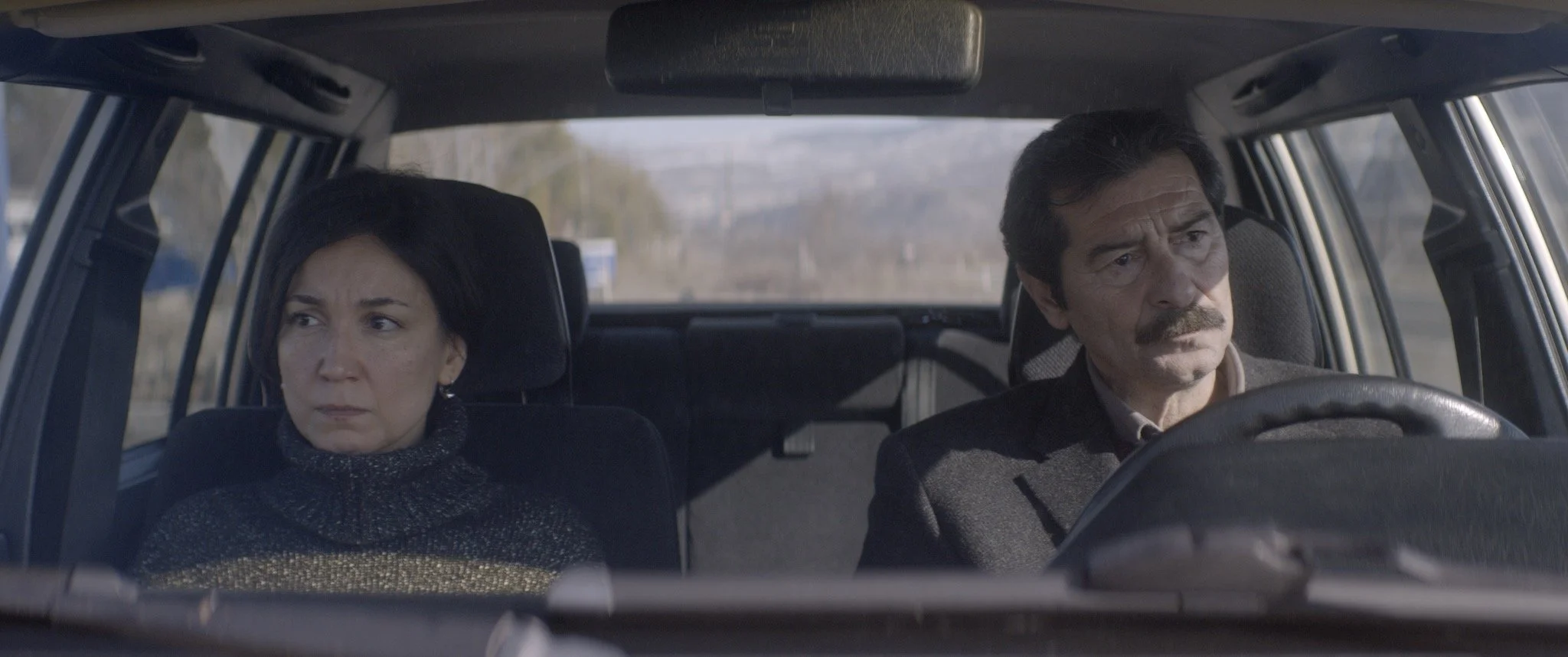 2.ANATOLIAN LEOPARD.jpg