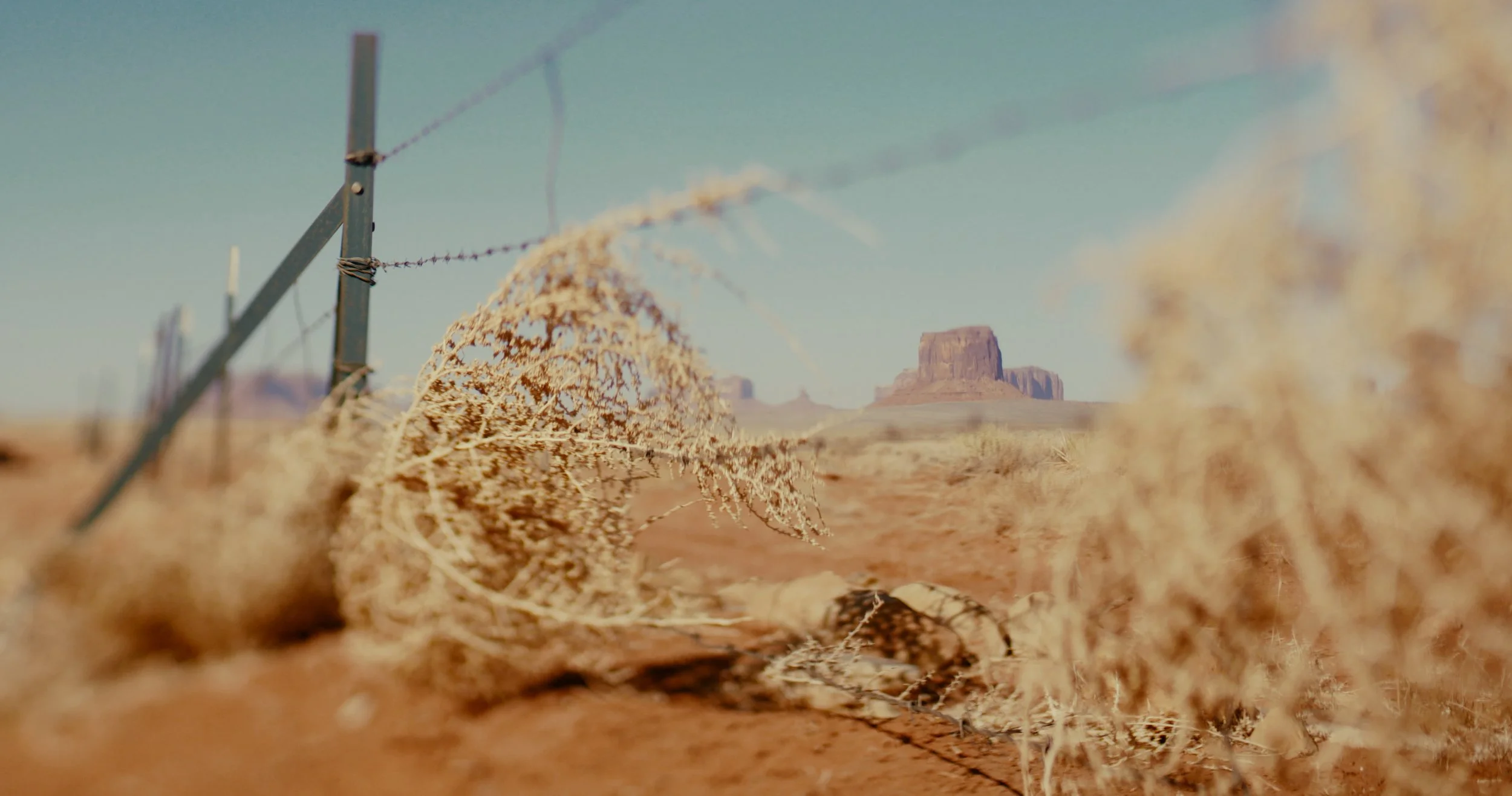 V1-0003_VAL_0059 (15-55-09-00).jpg