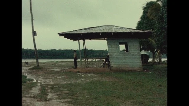 Sepa, Nuestro Señor de los Milagros