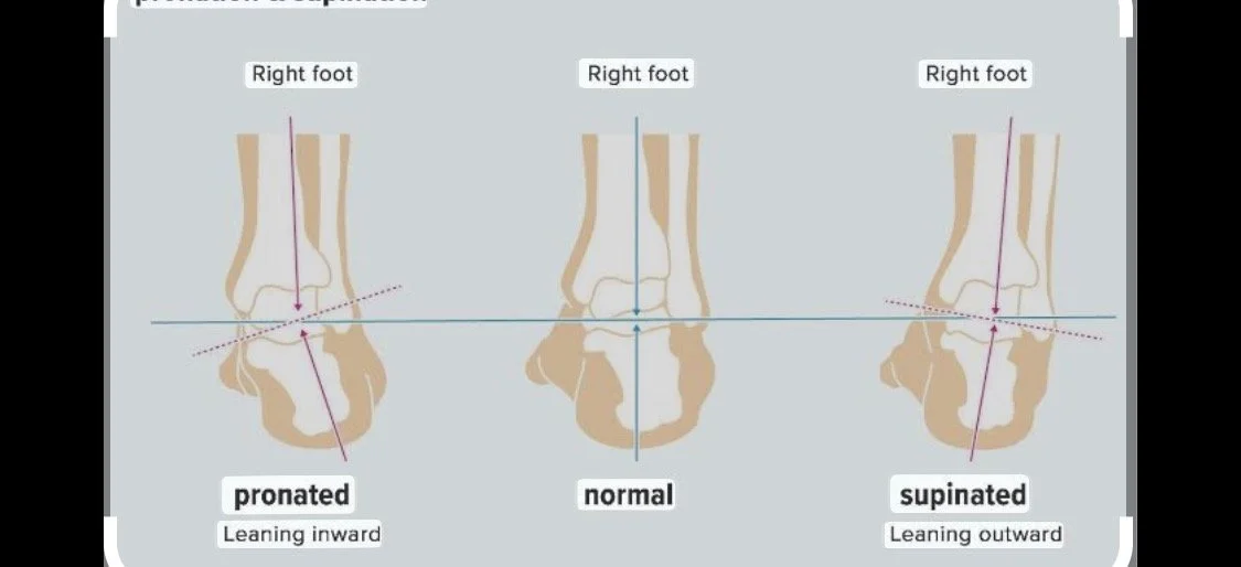 foots movement when running. Pronated, neutral and supinated