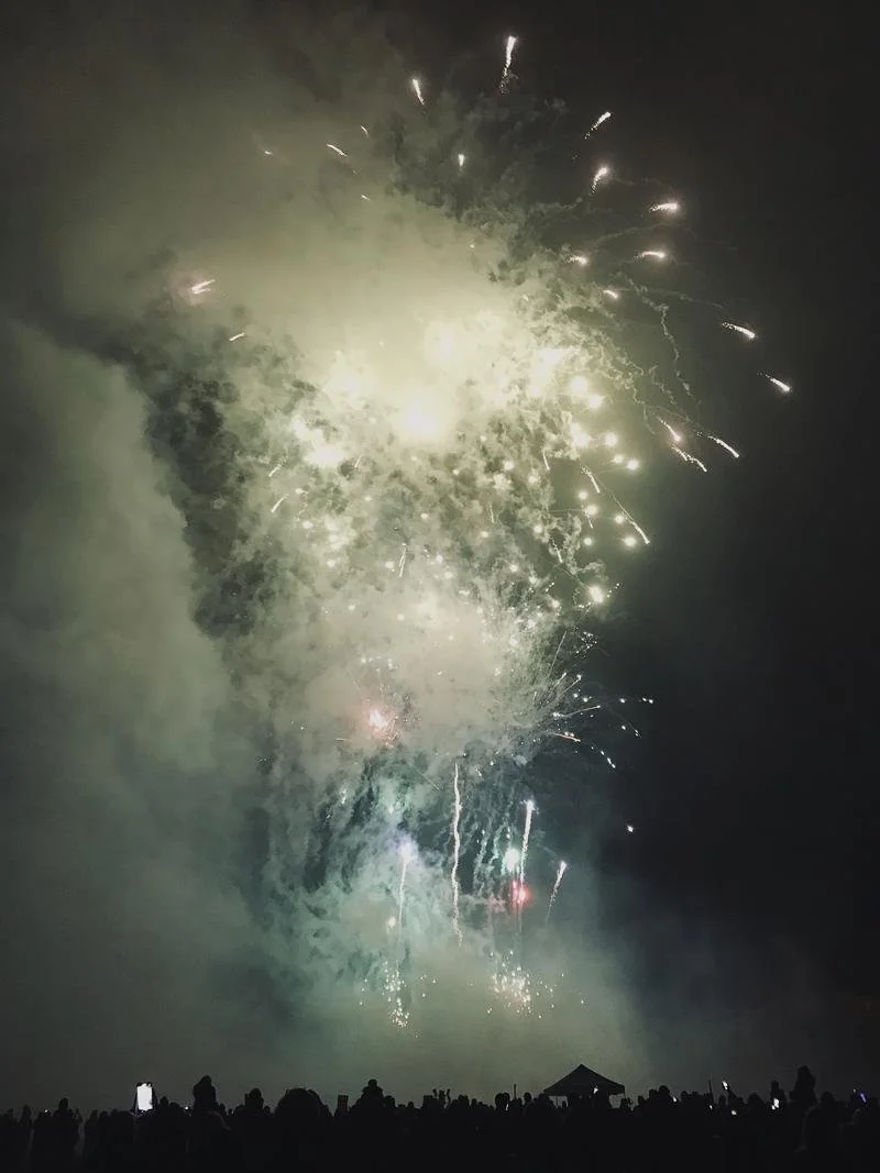Fireworks exploding in the night sky above a crowd of people.