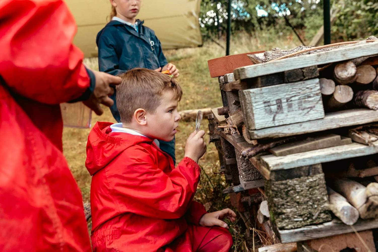 A young boy in a red jacket examines a wooden insect hotel with a magnifying glass while two other children in jackets observe outdoors, near a woodpile and greenery.